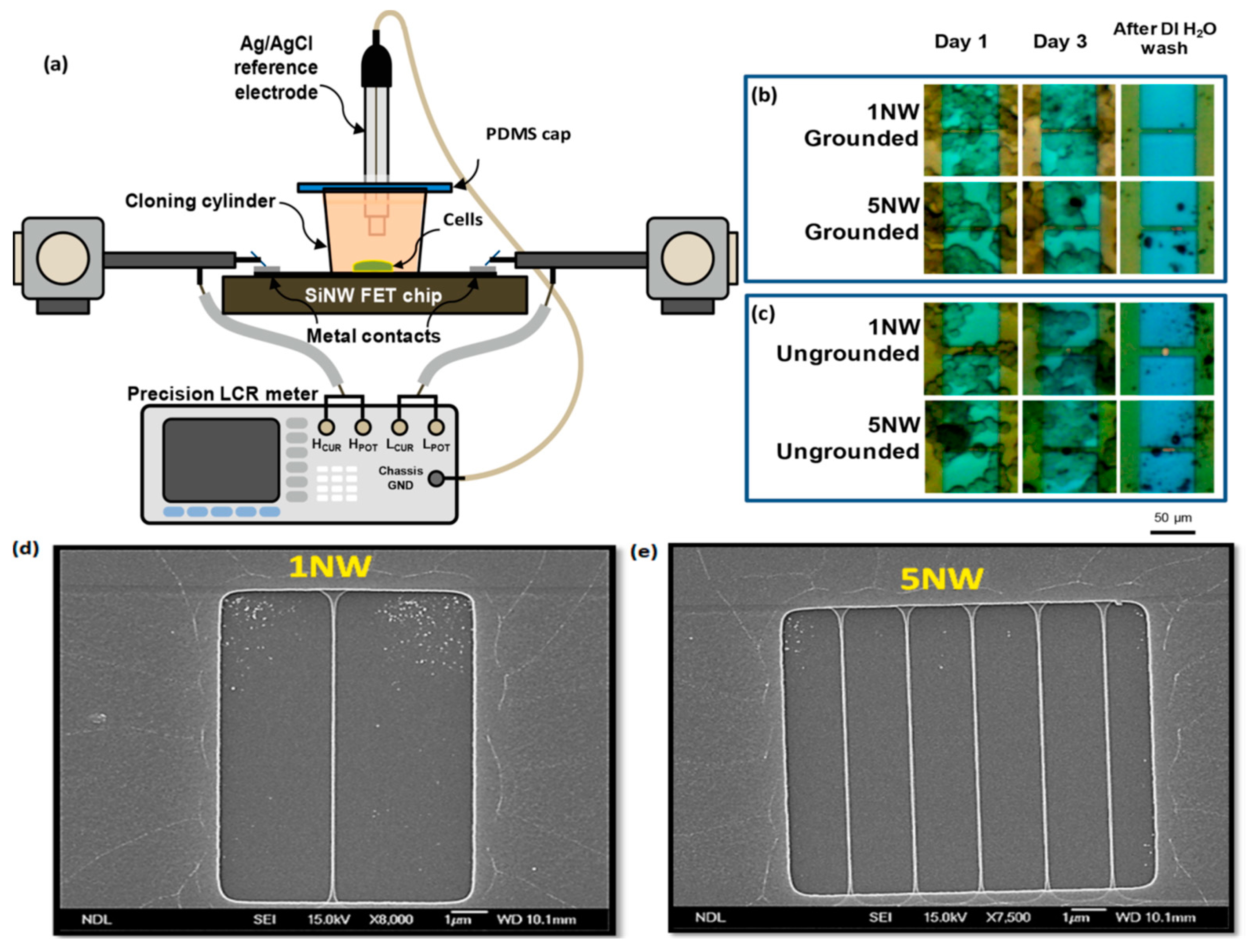 Biosensors 12 00500 g004