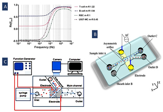 Biosensors 12 00510 g004