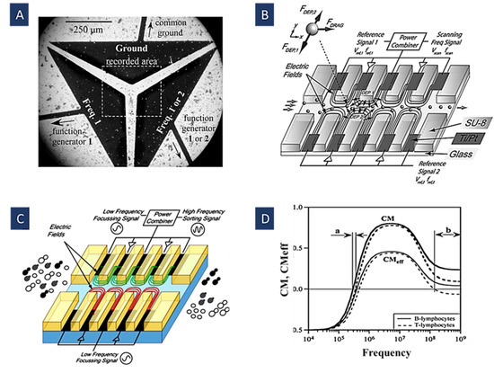 Biosensors 12 00510 g005