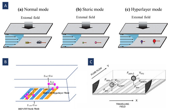 Biosensors 12 00510 g011