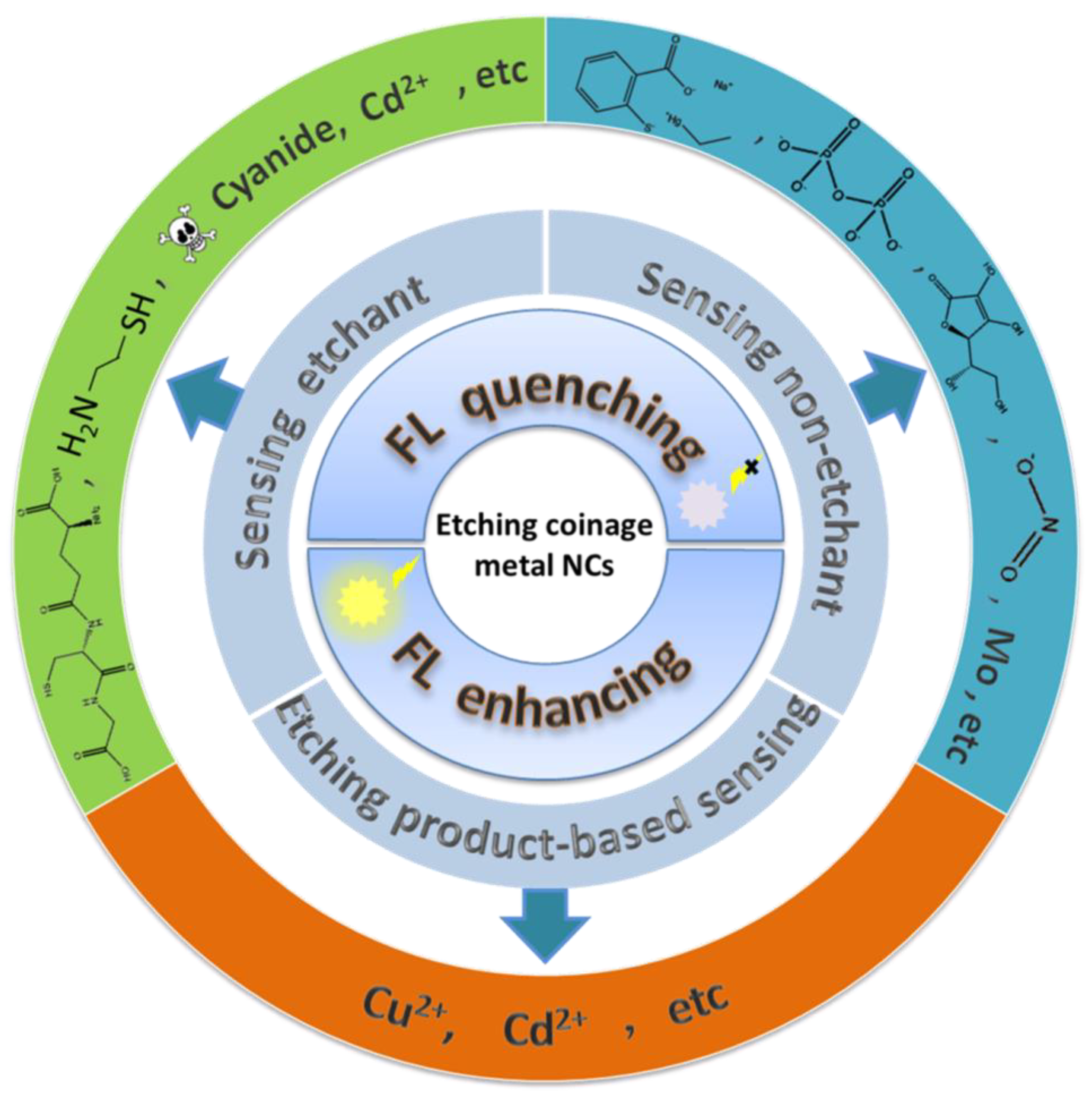 Biosensors 12 00511 g001