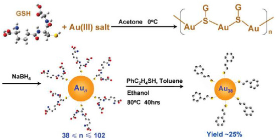 Biosensors 12 00511 g002