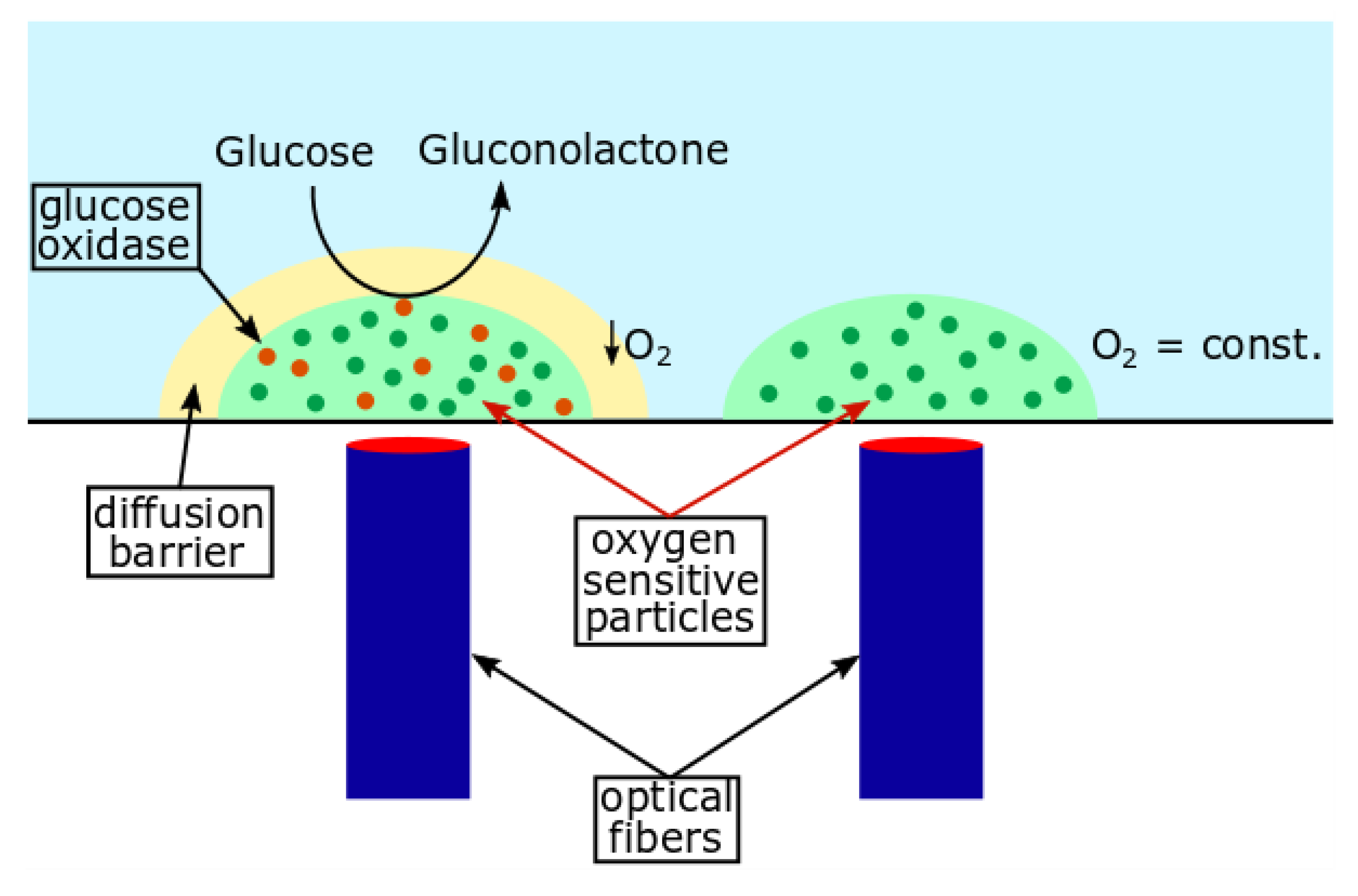 Biosensors 12 00512 g001