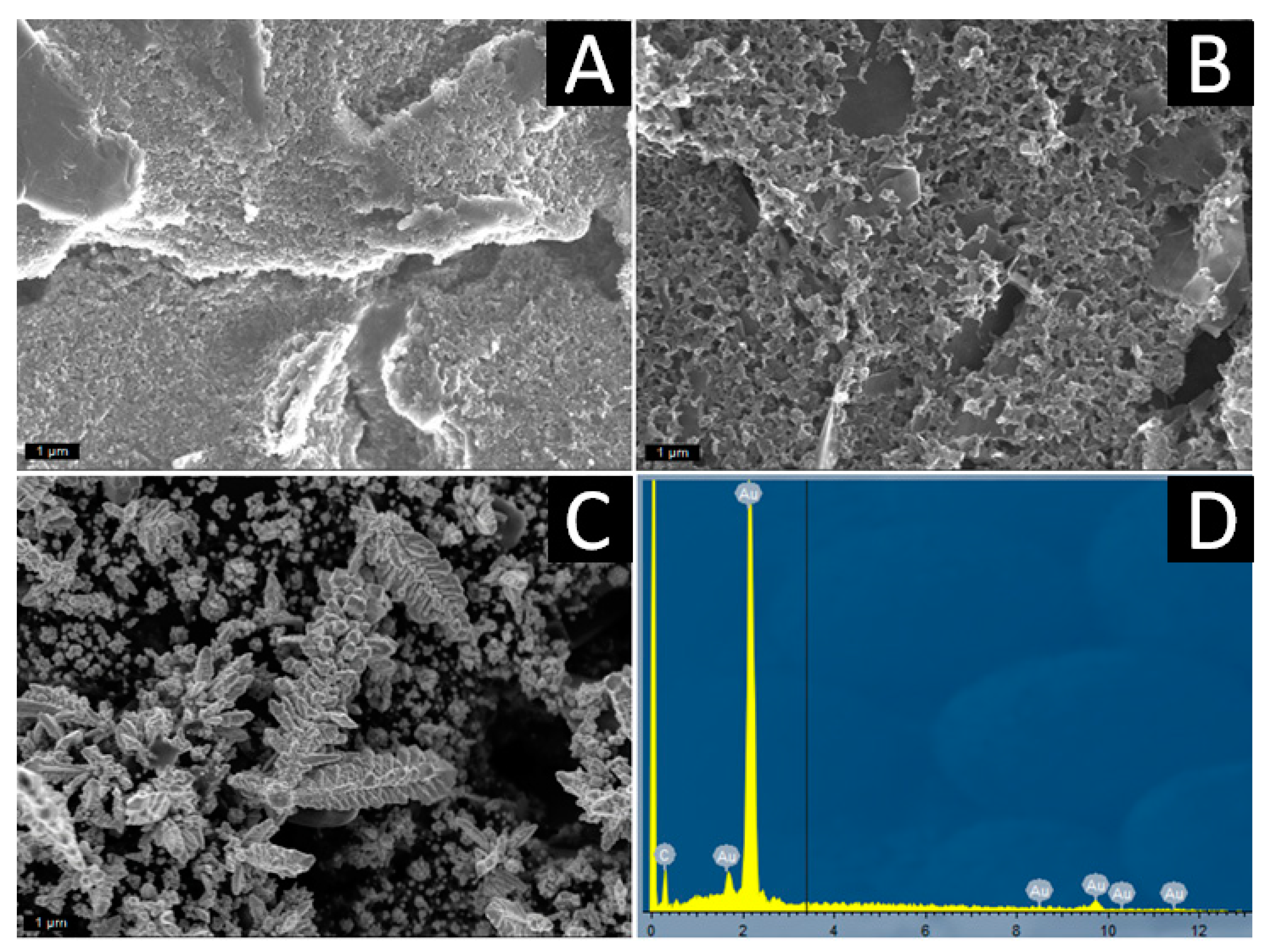 Biosensors 12 00514 g001