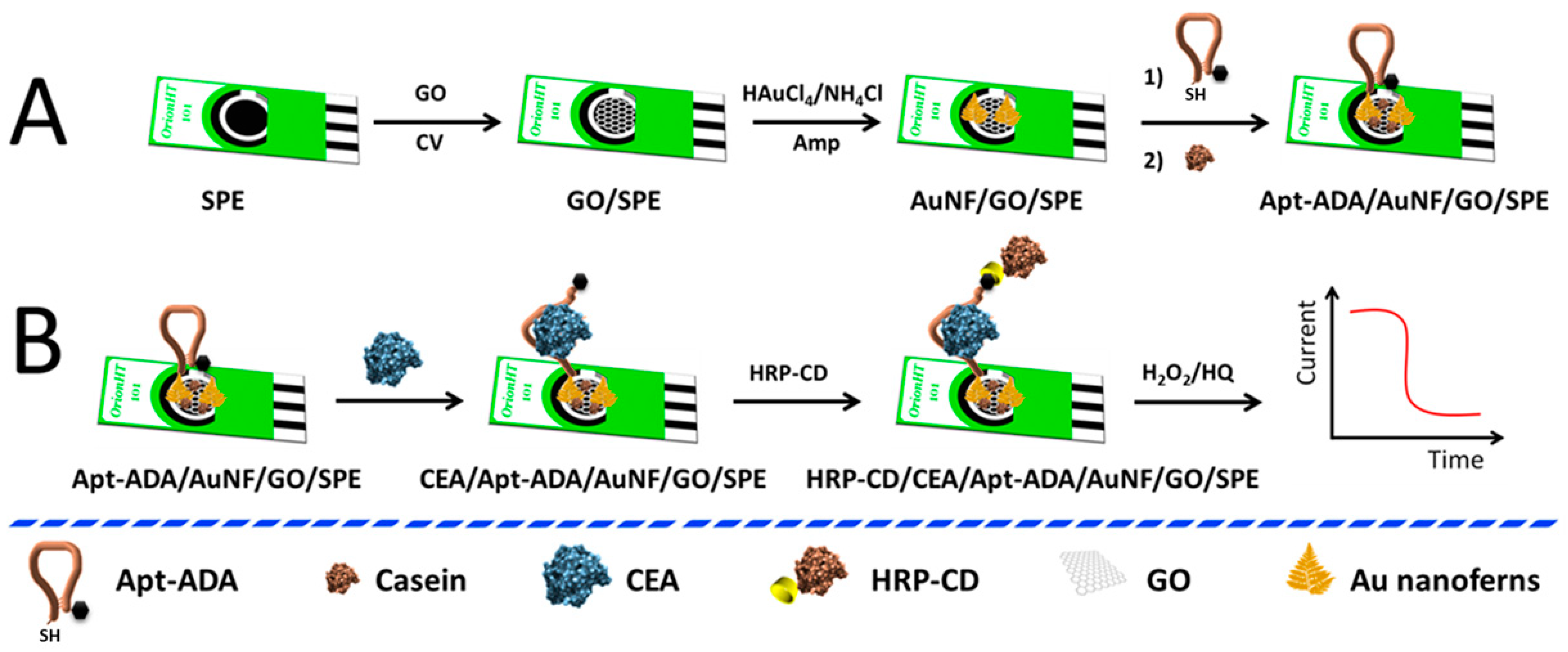 Biosensors 12 00514 sch001