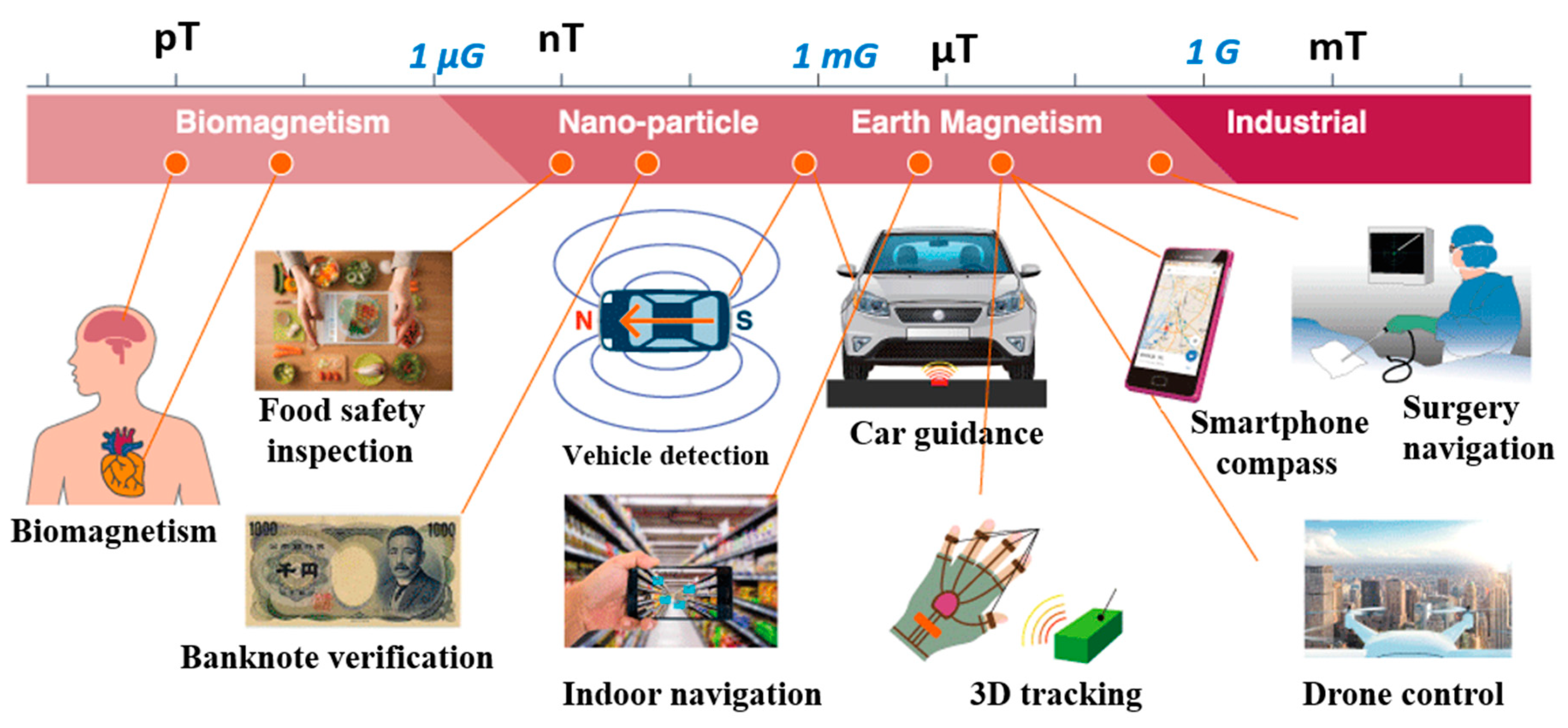 Biosensors 12 00517 g002