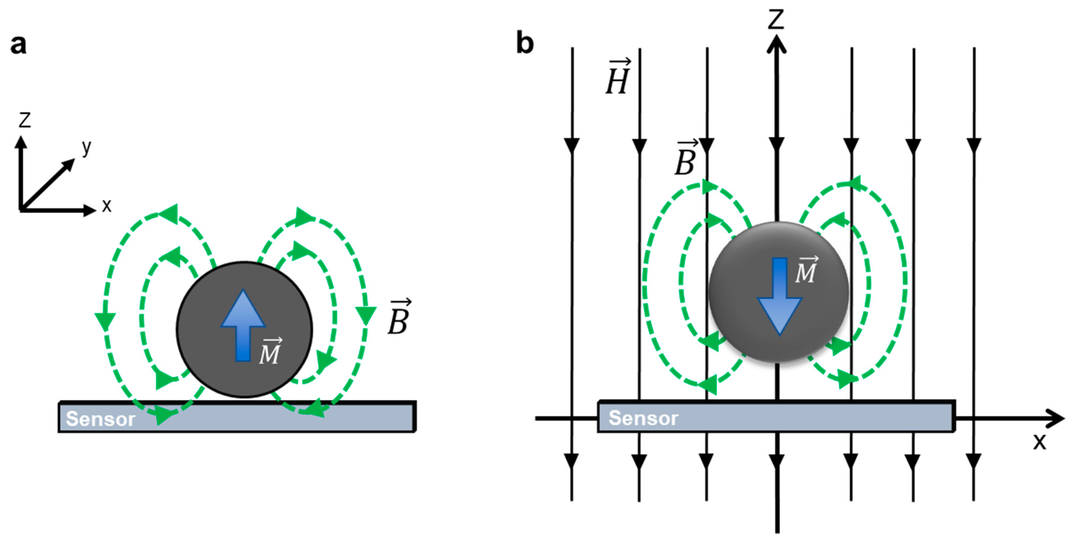 Biosensors 12 00517 g003