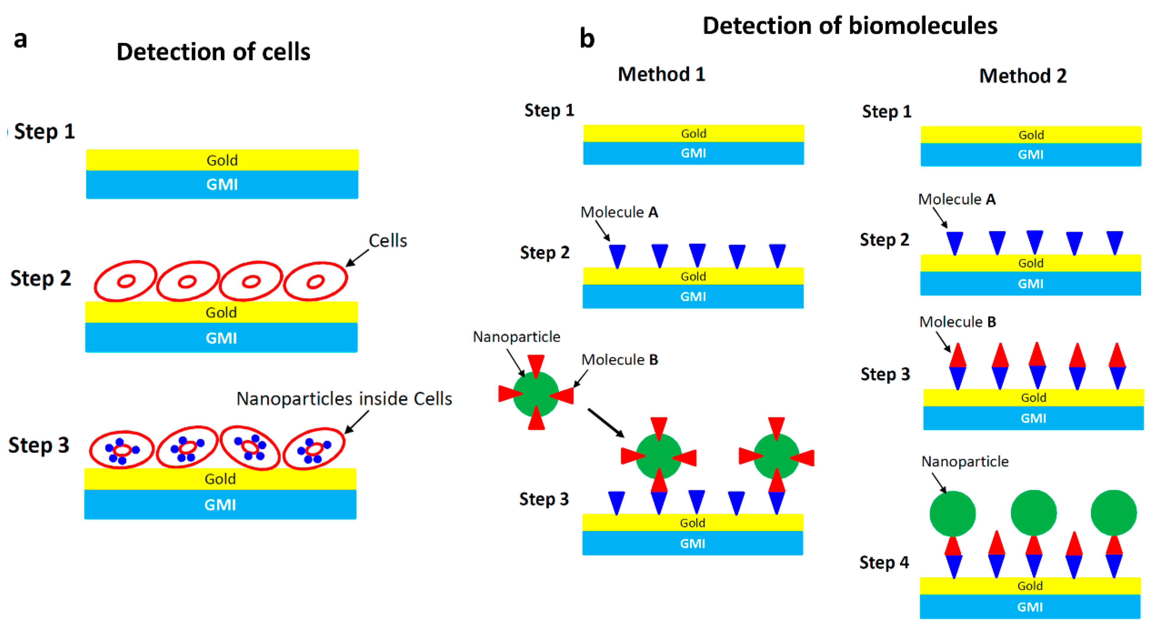 Biosensors 12 00517 g004