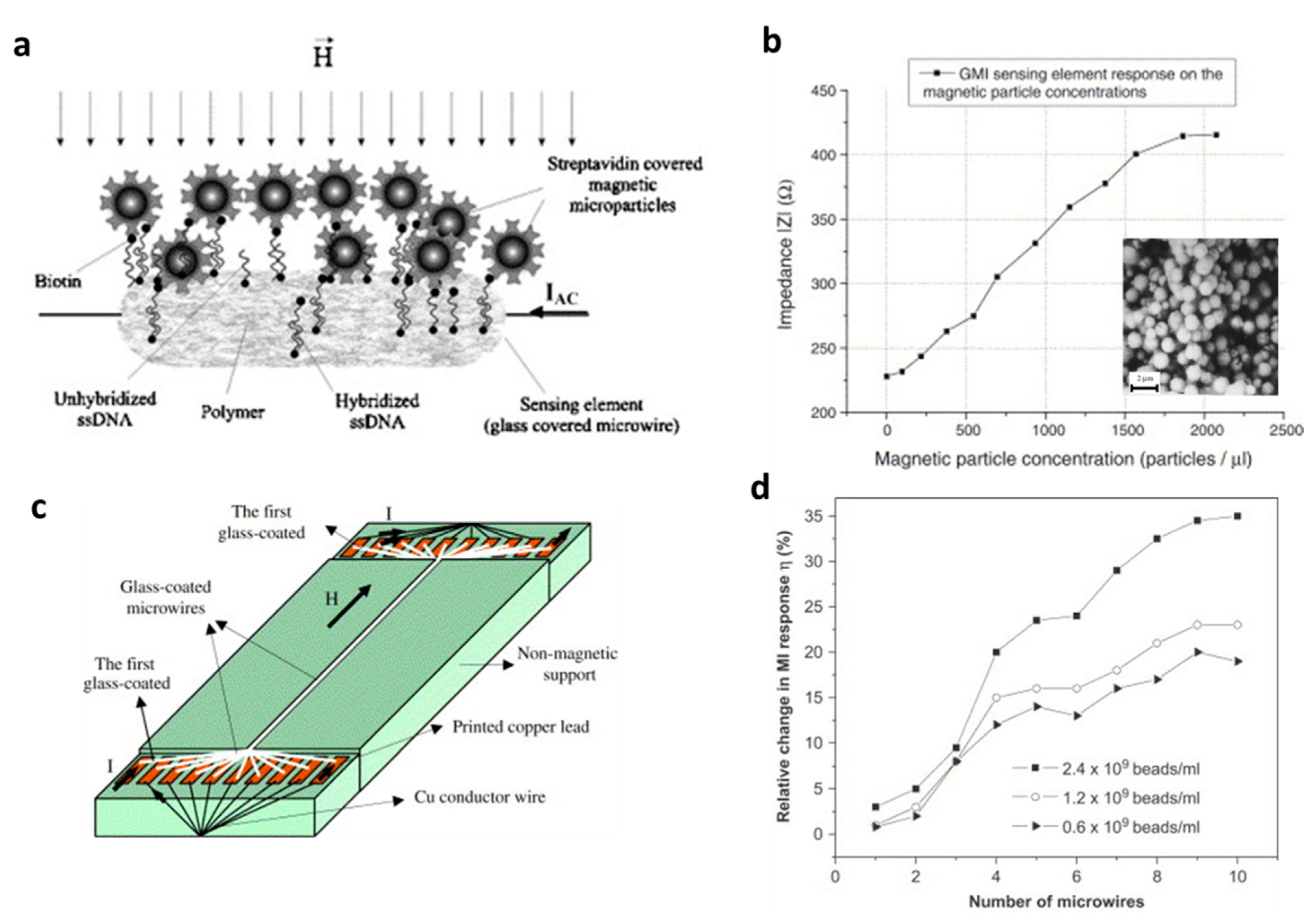 Biosensors 12 00517 g006