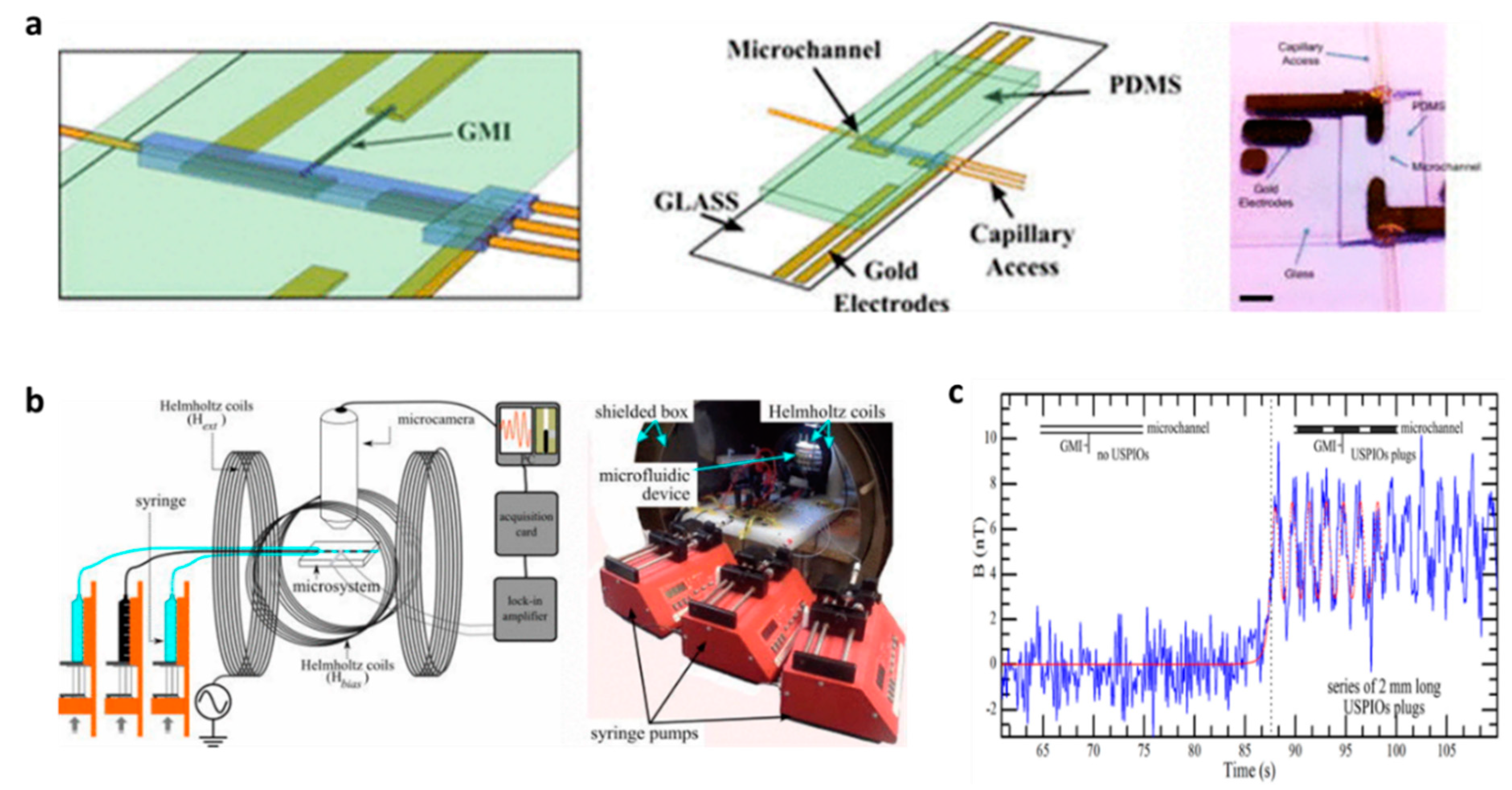 Biosensors 12 00517 g010