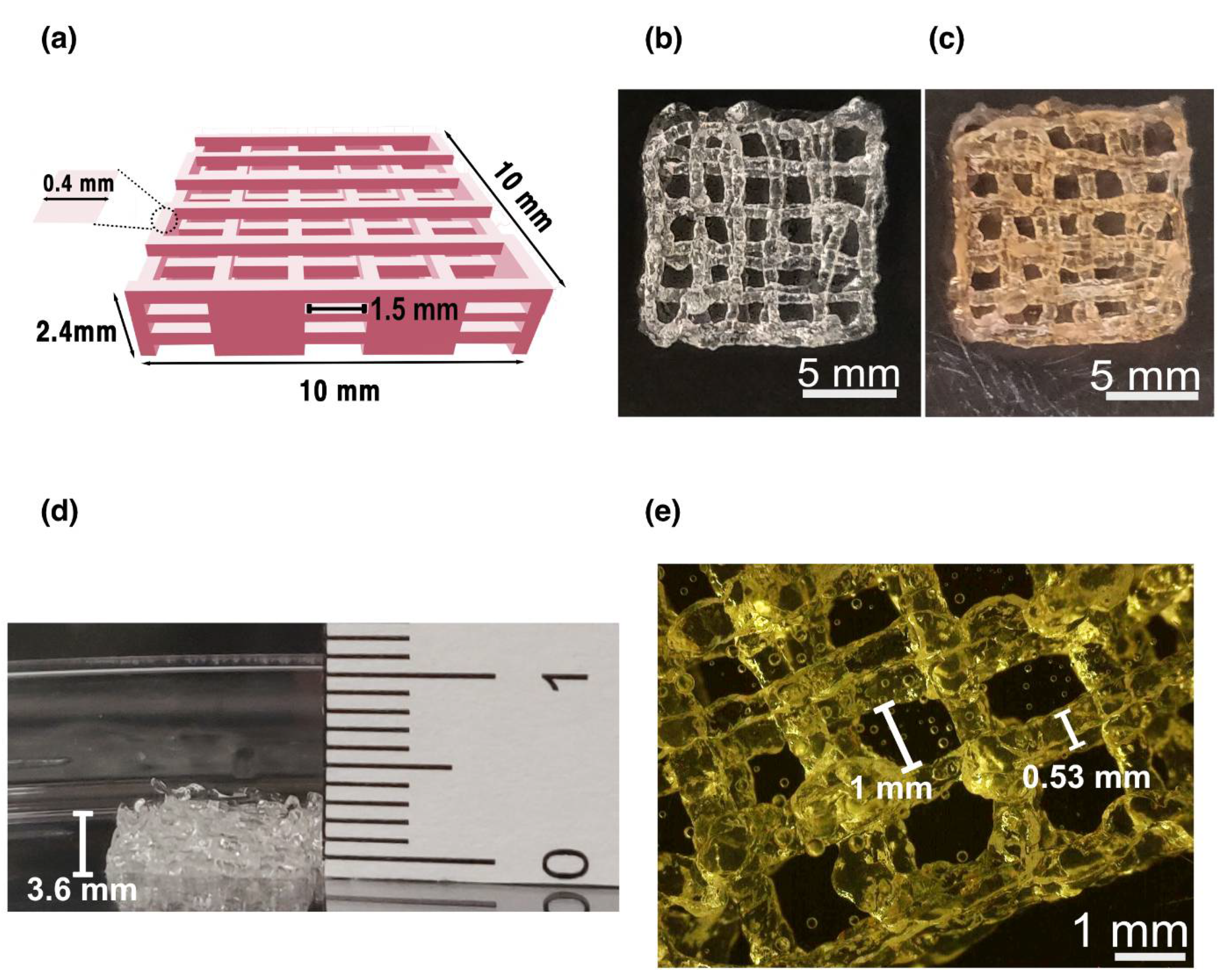 Biosensors 12 00521 g004