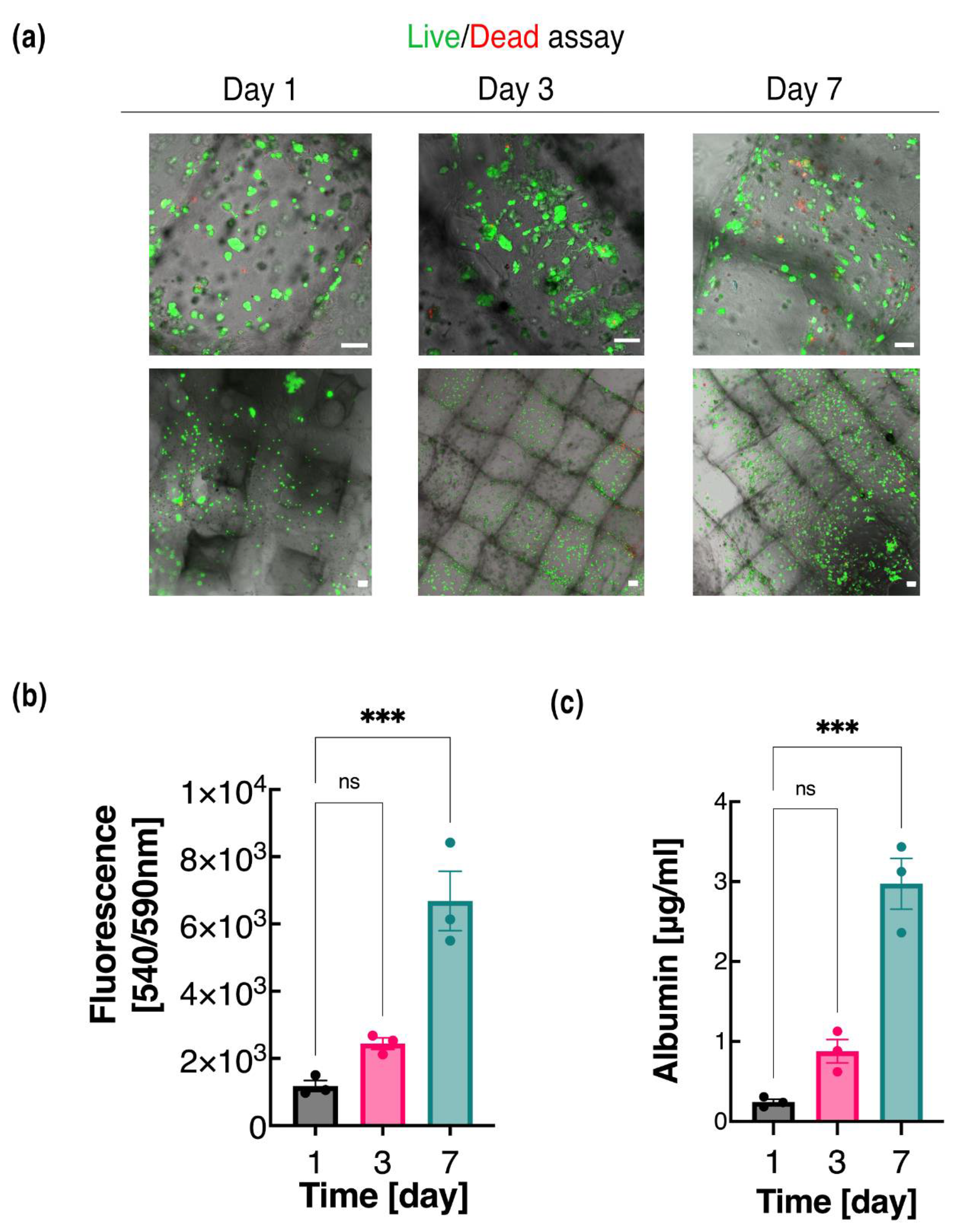 Biosensors 12 00521 g005