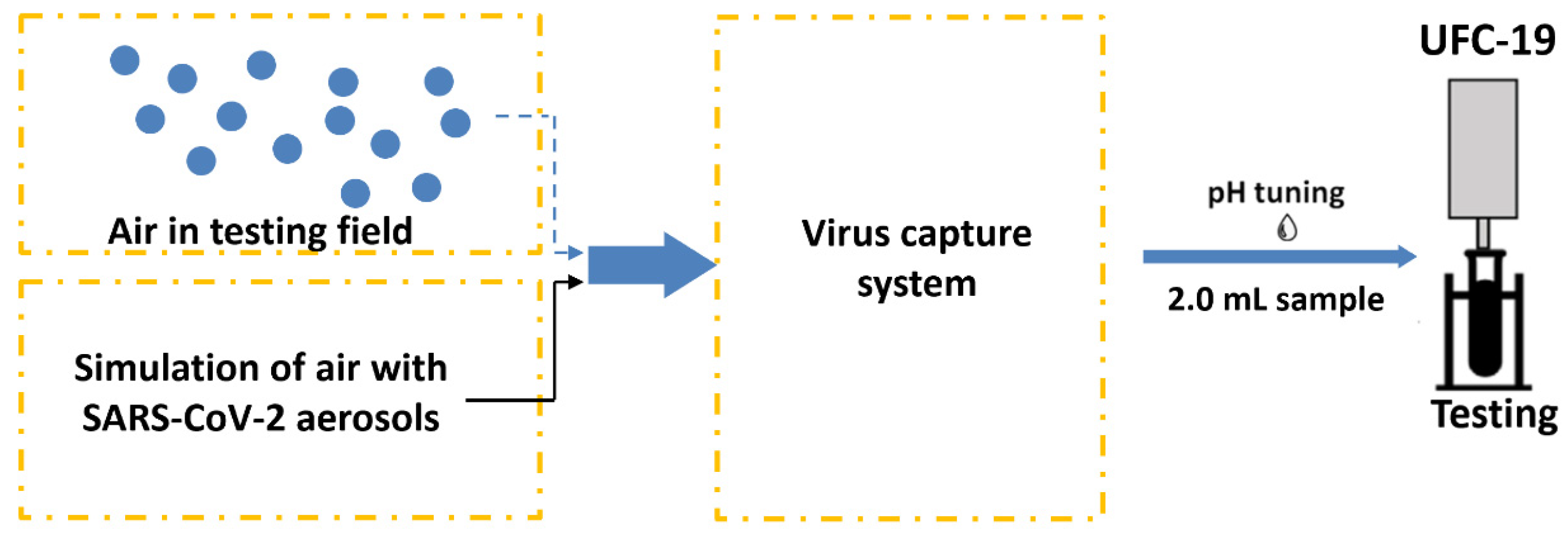 Biosensors 12 00523 g001