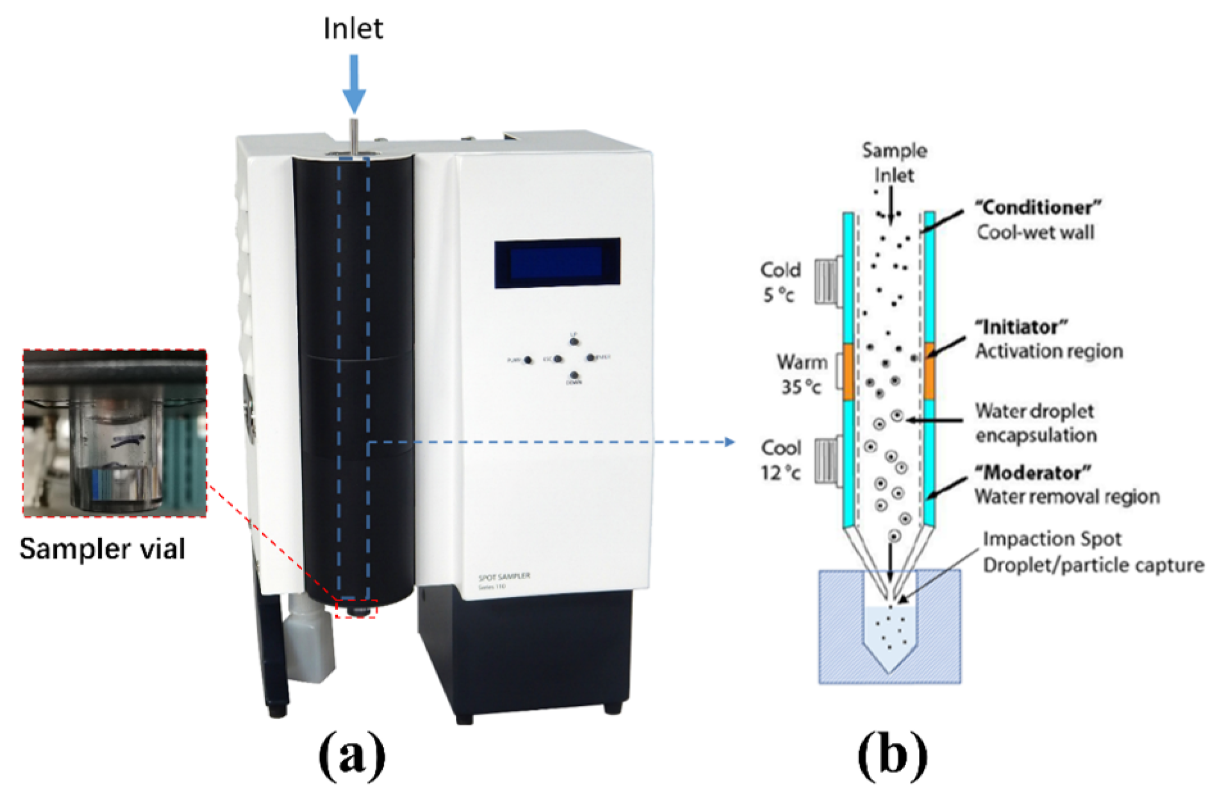 Biosensors 12 00523 g004