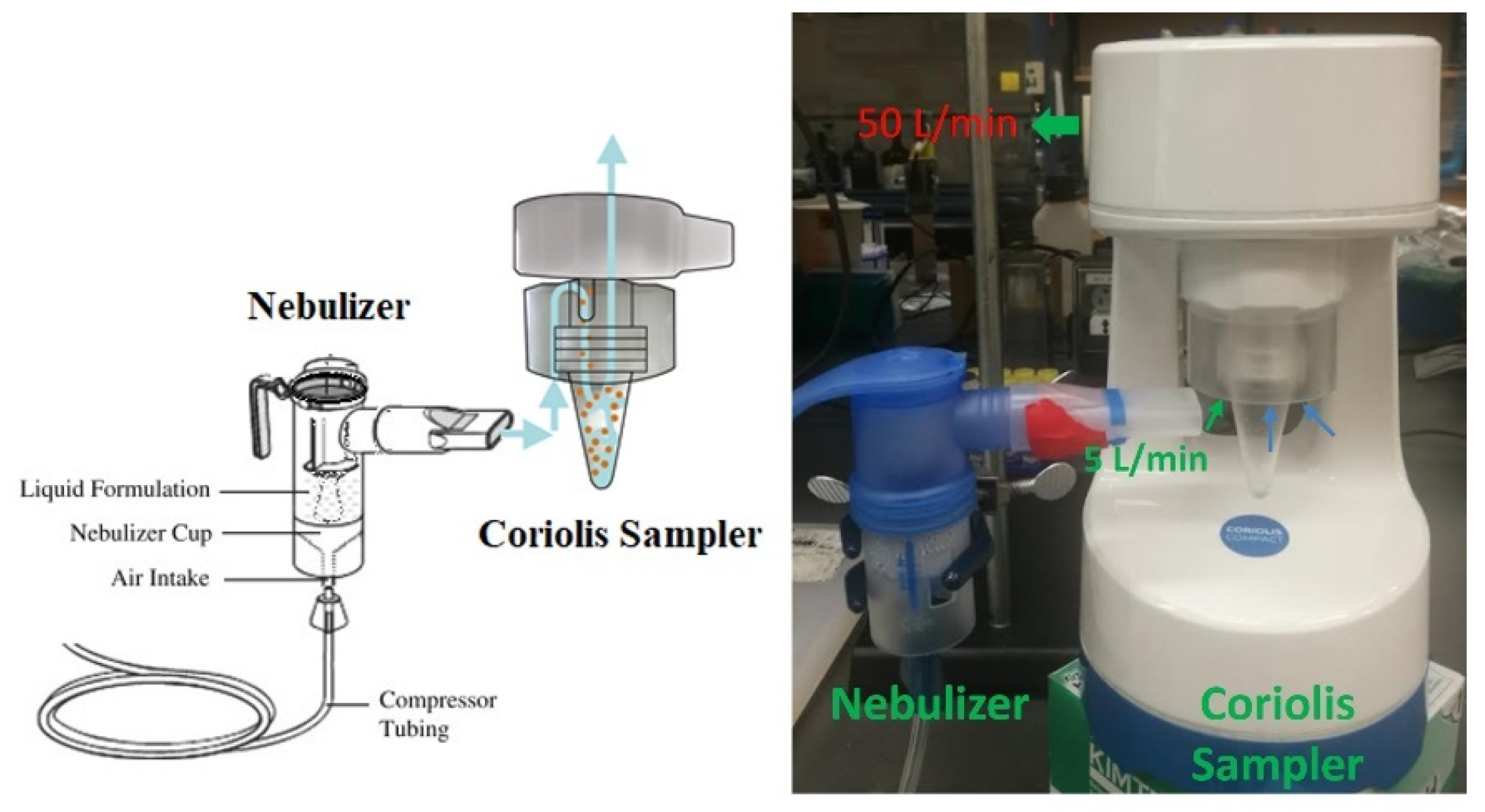 Biosensors 12 00523 g011
