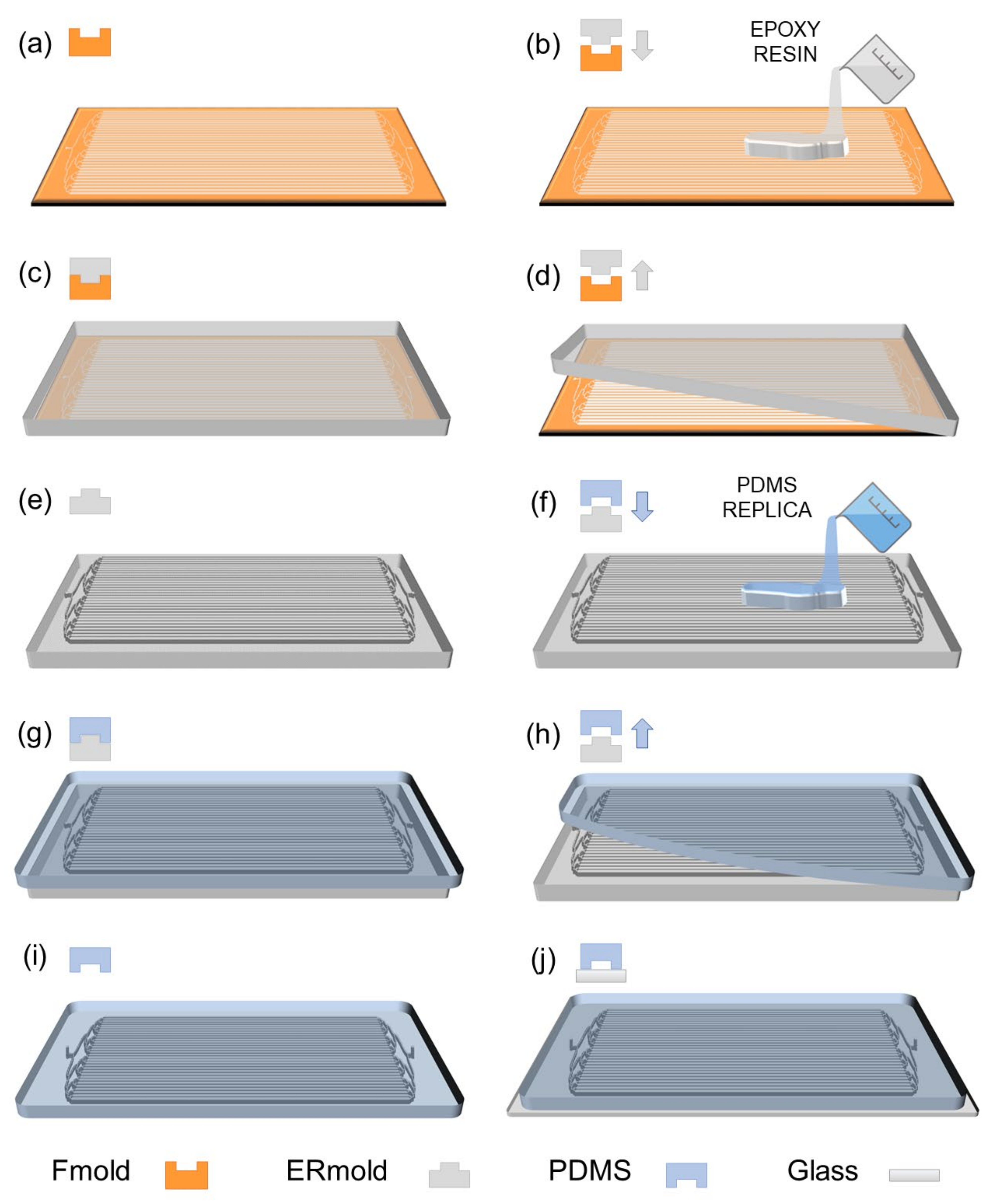Biosensors 12 00526 g001