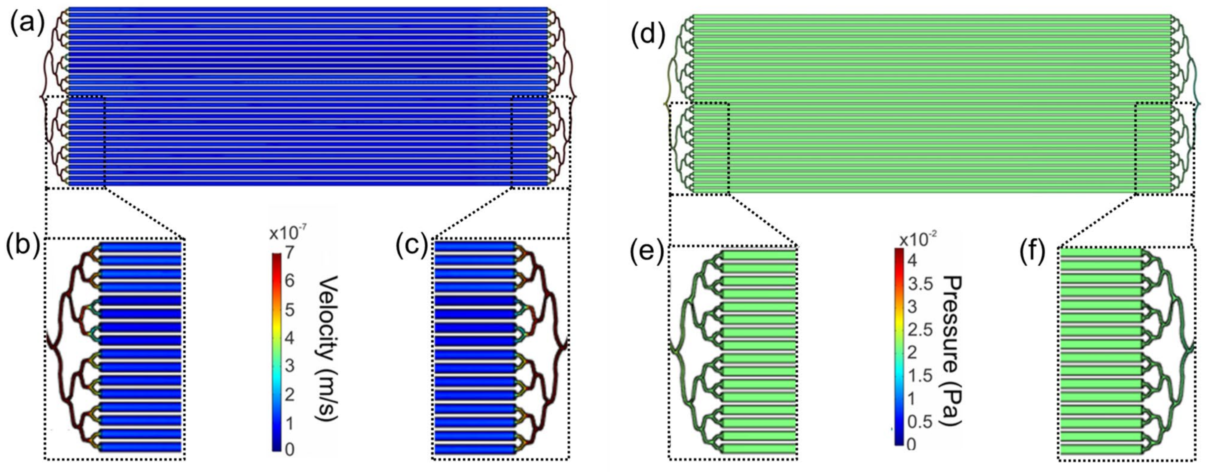 Biosensors 12 00526 g003
