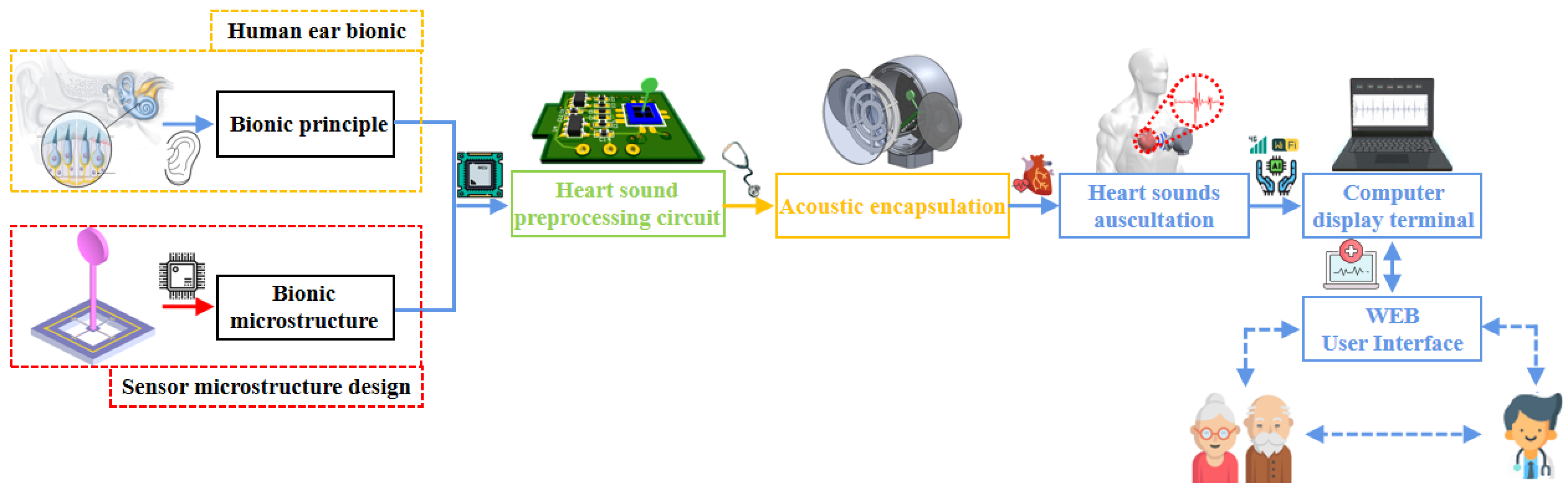 Biosensors 12 00534 g012