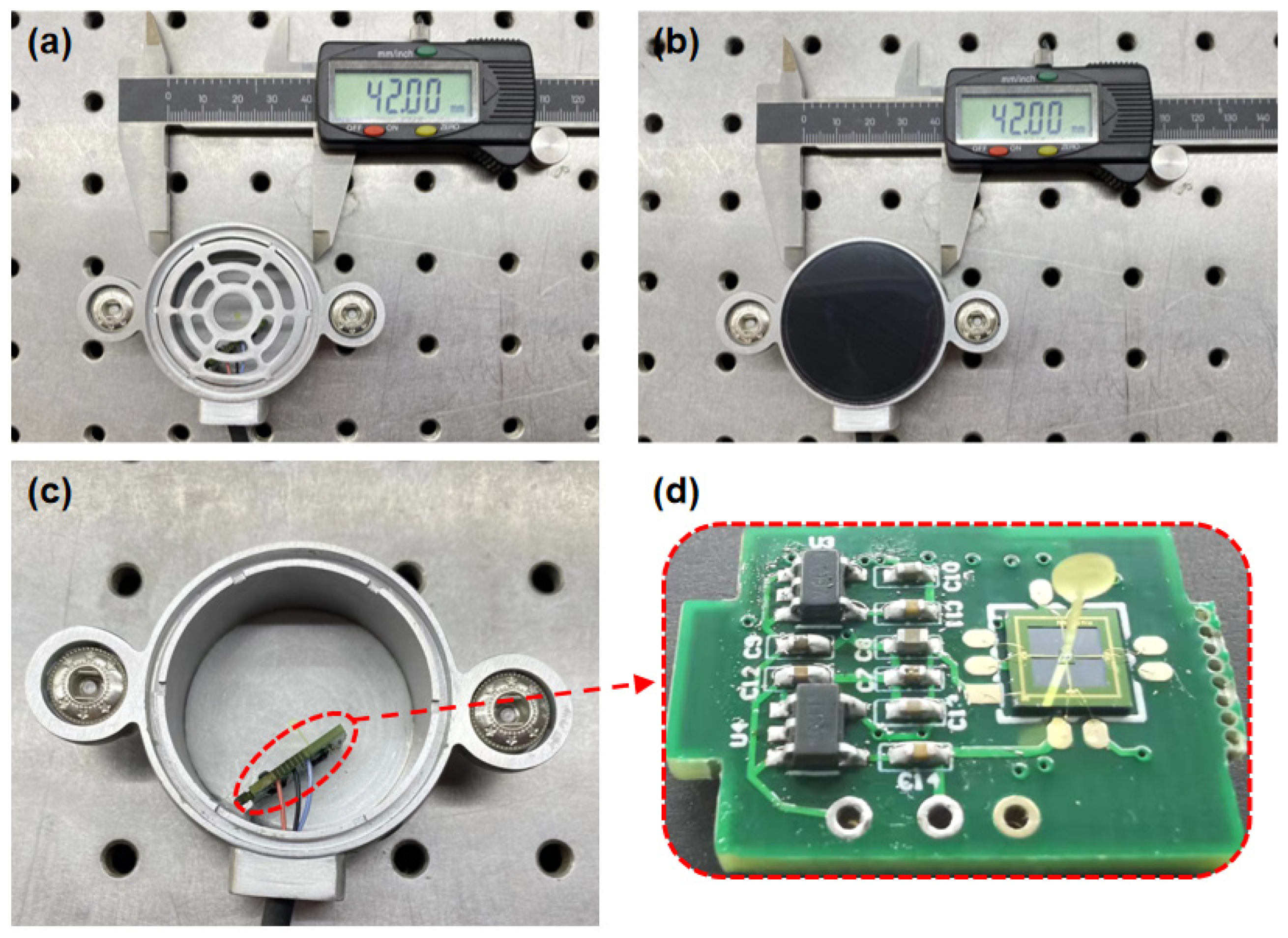 Biosensors 12 00534 g013