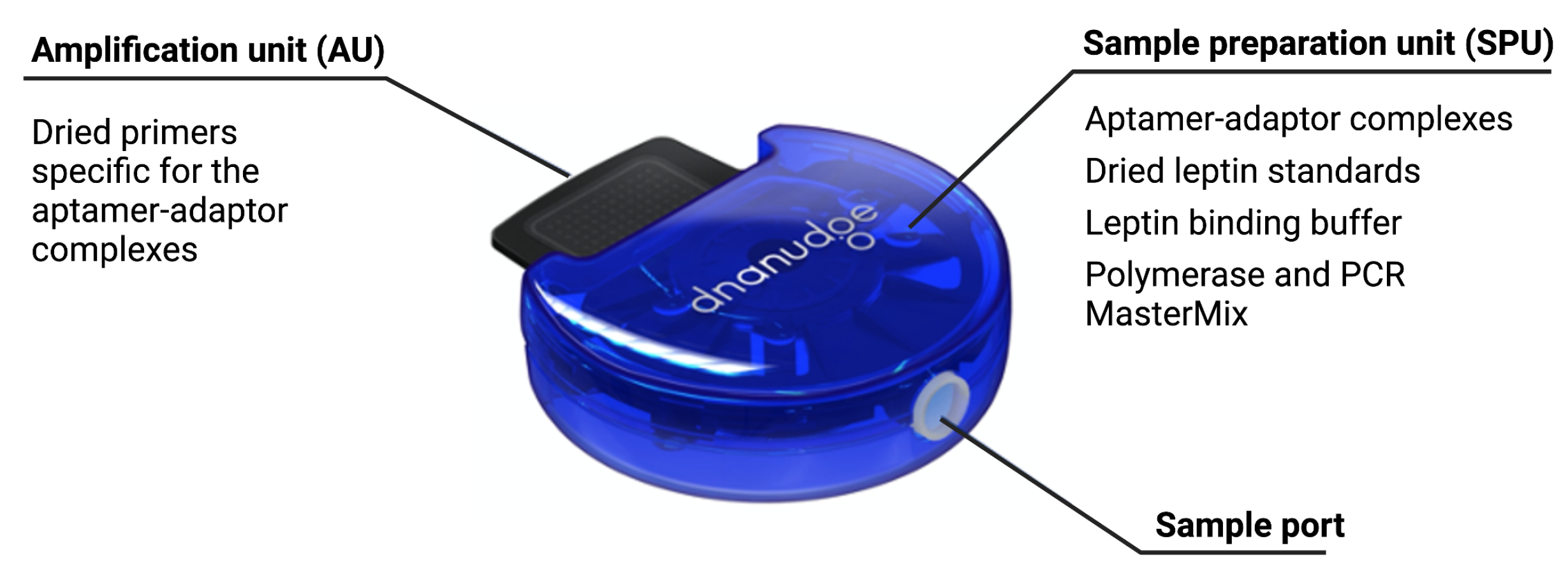 Biosensors 12 00537 g004