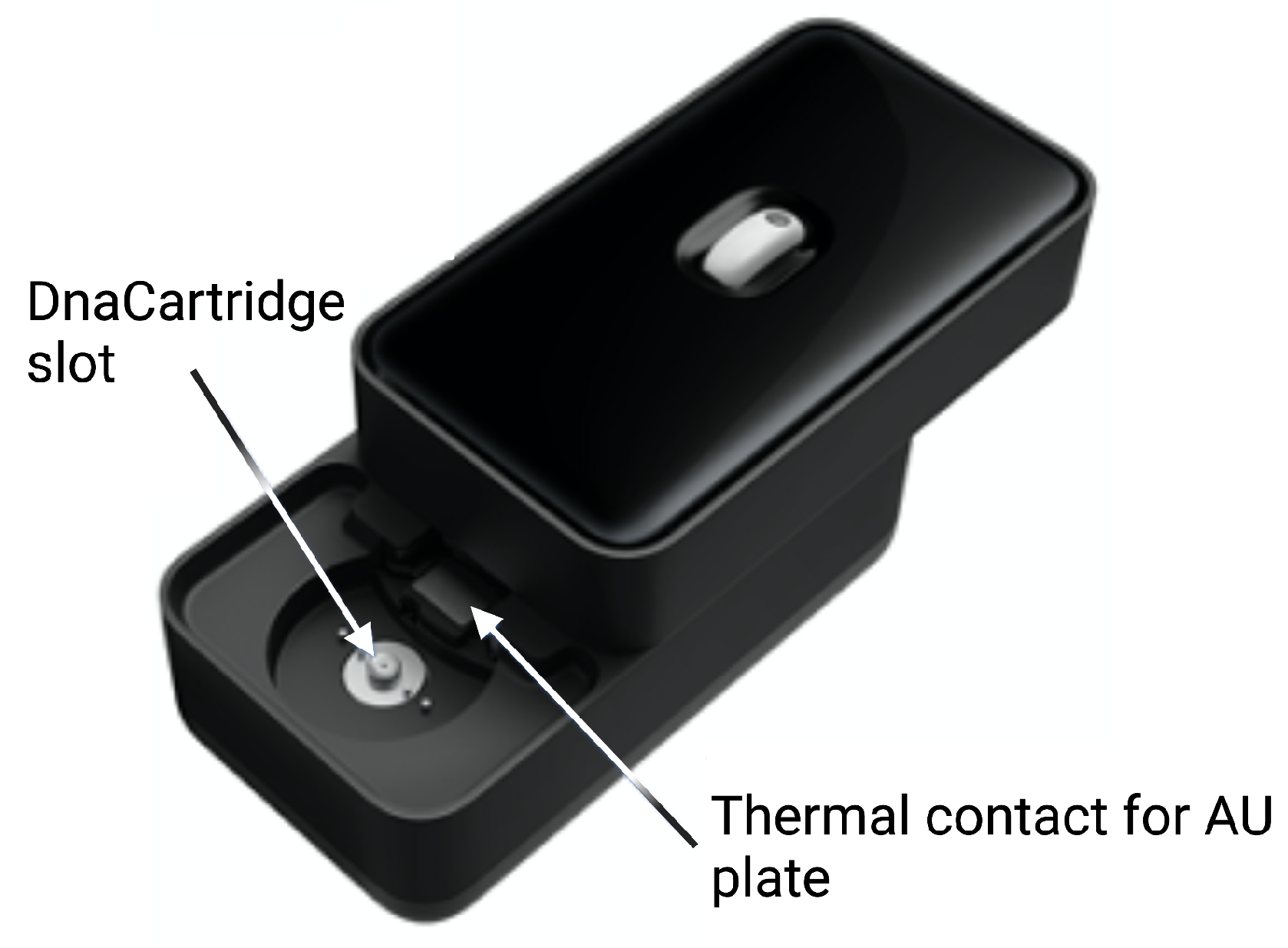 Biosensors 12 00537 g006