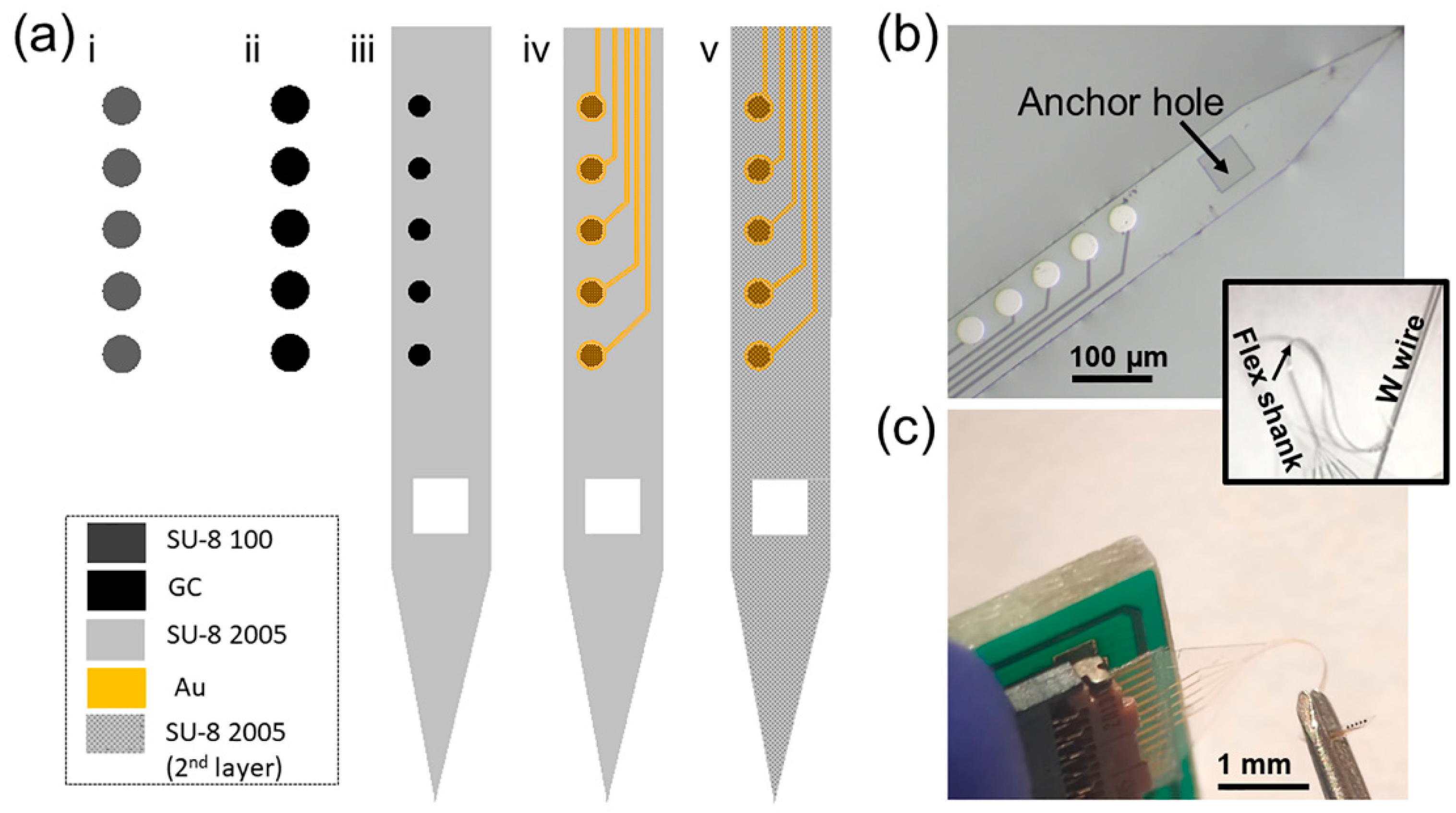 Biosensors 12 00540 g001