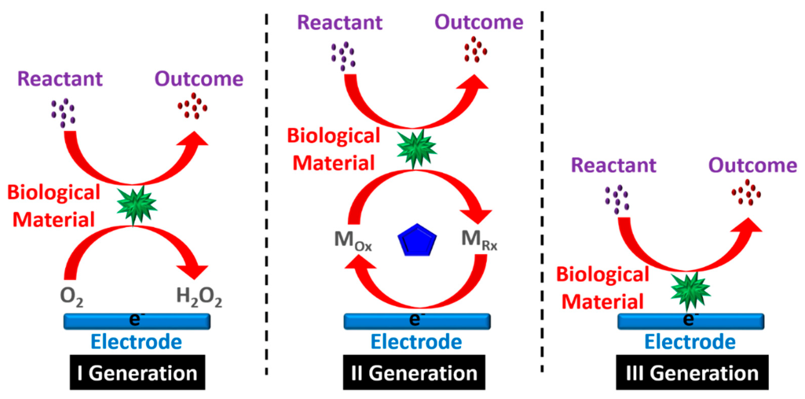 Biosensors 12 00543 g001