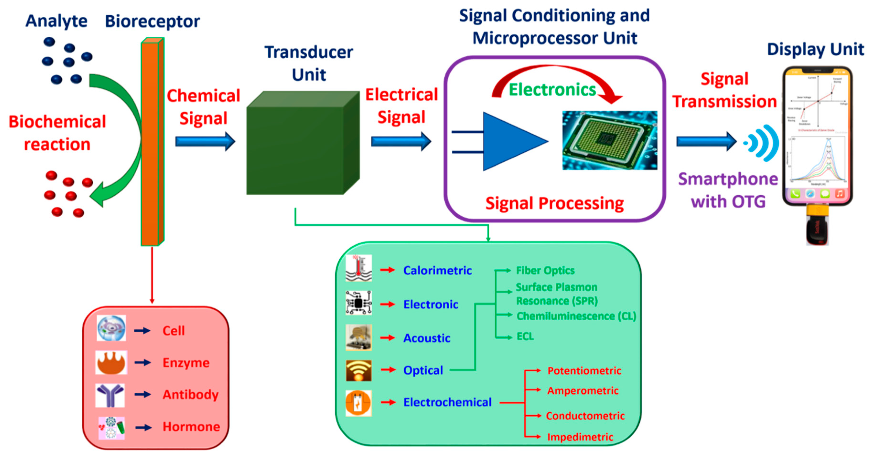 Biosensors 12 00543 g002