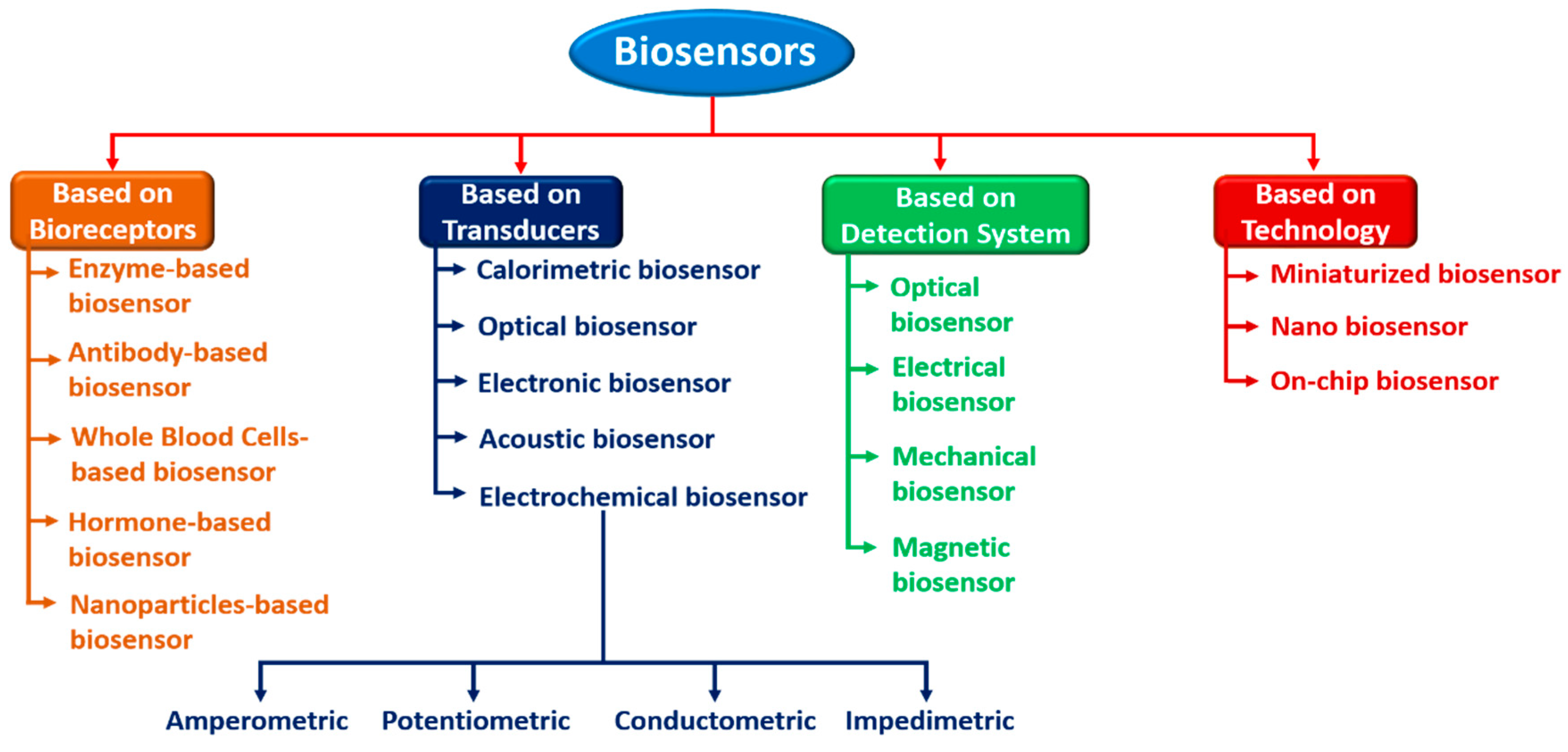 Biosensors 12 00543 g003