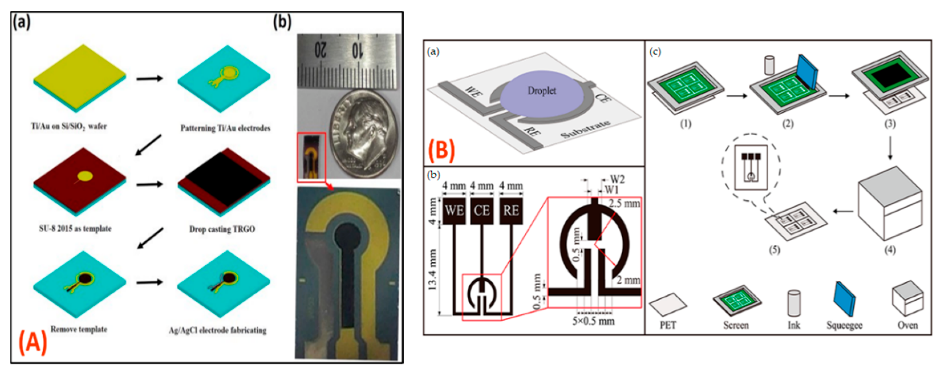 Biosensors 12 00543 g009