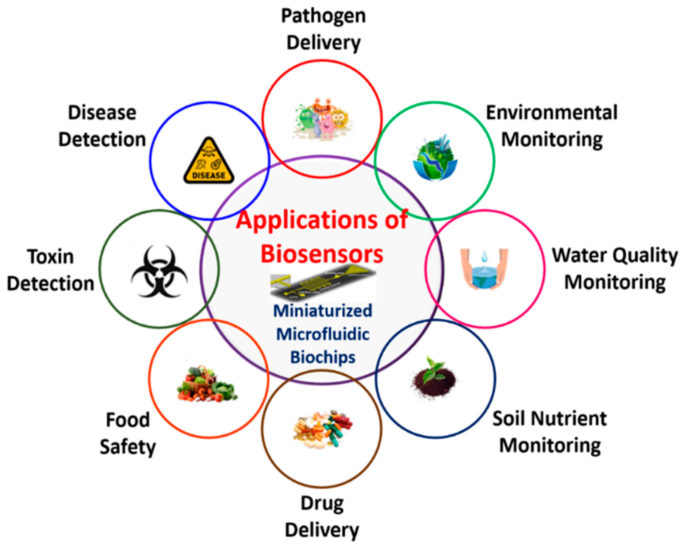 Biosensors 12 00543 g011