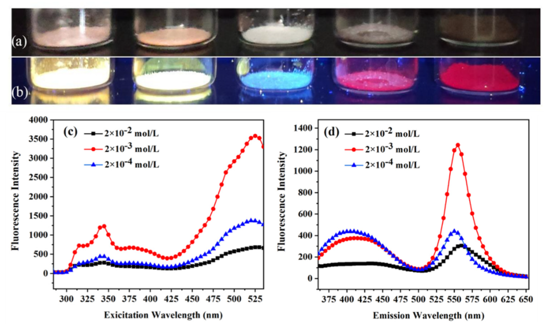Biosensors 12 00544 g001