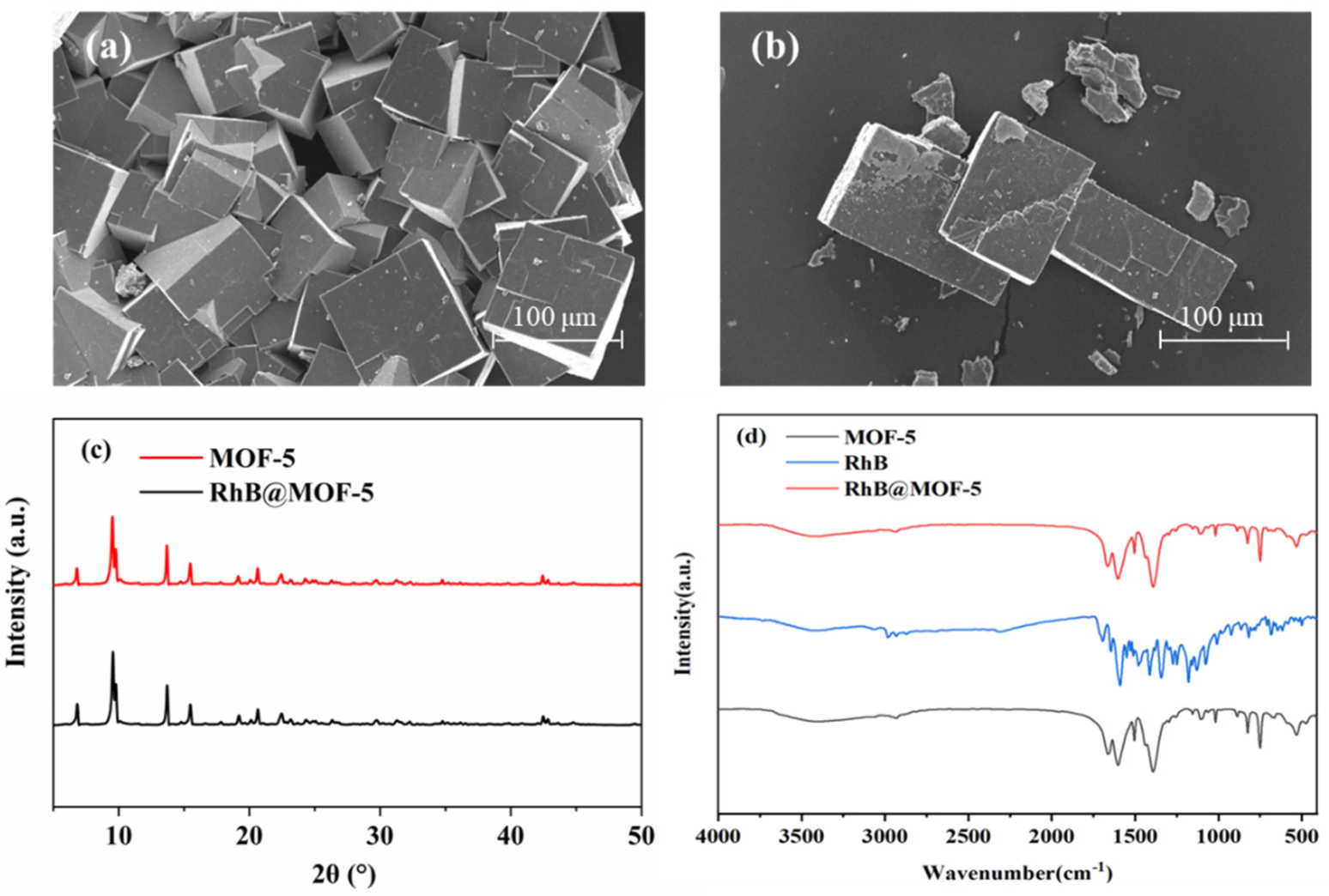 Biosensors 12 00544 g002