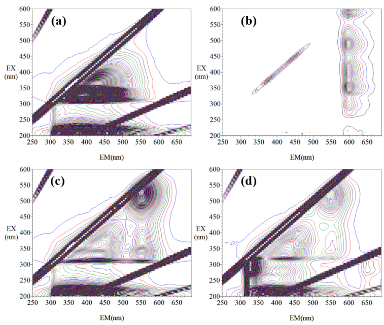 Biosensors 12 00544 g005
