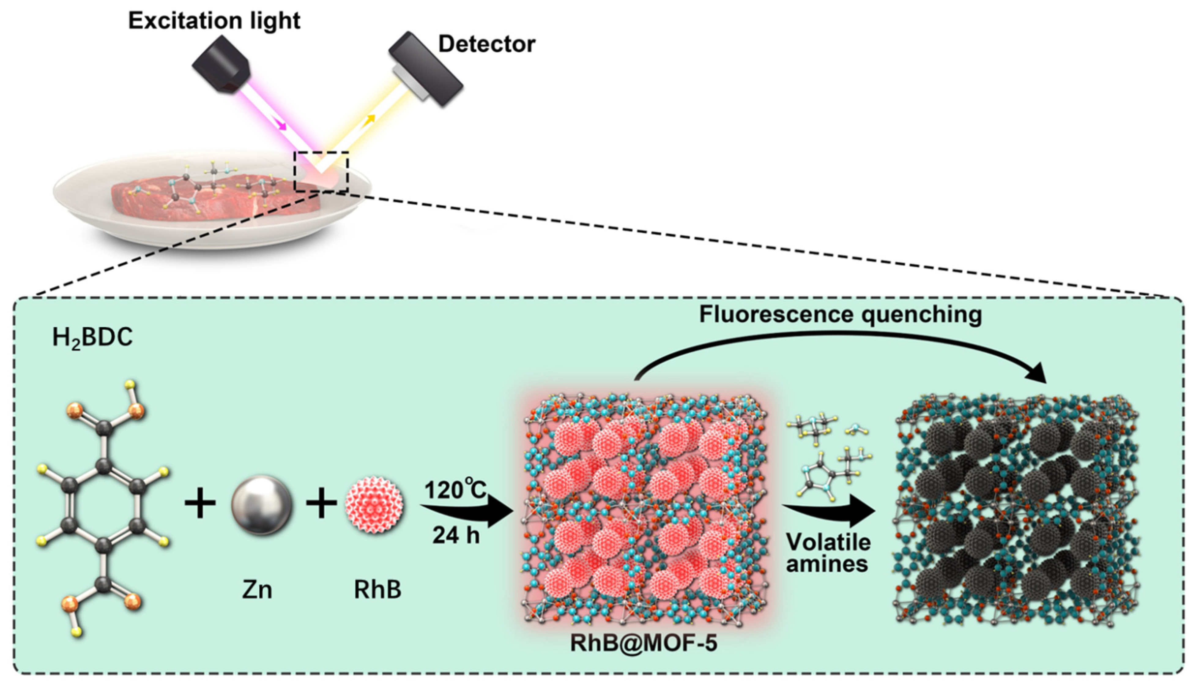 Biosensors 12 00544 sch001