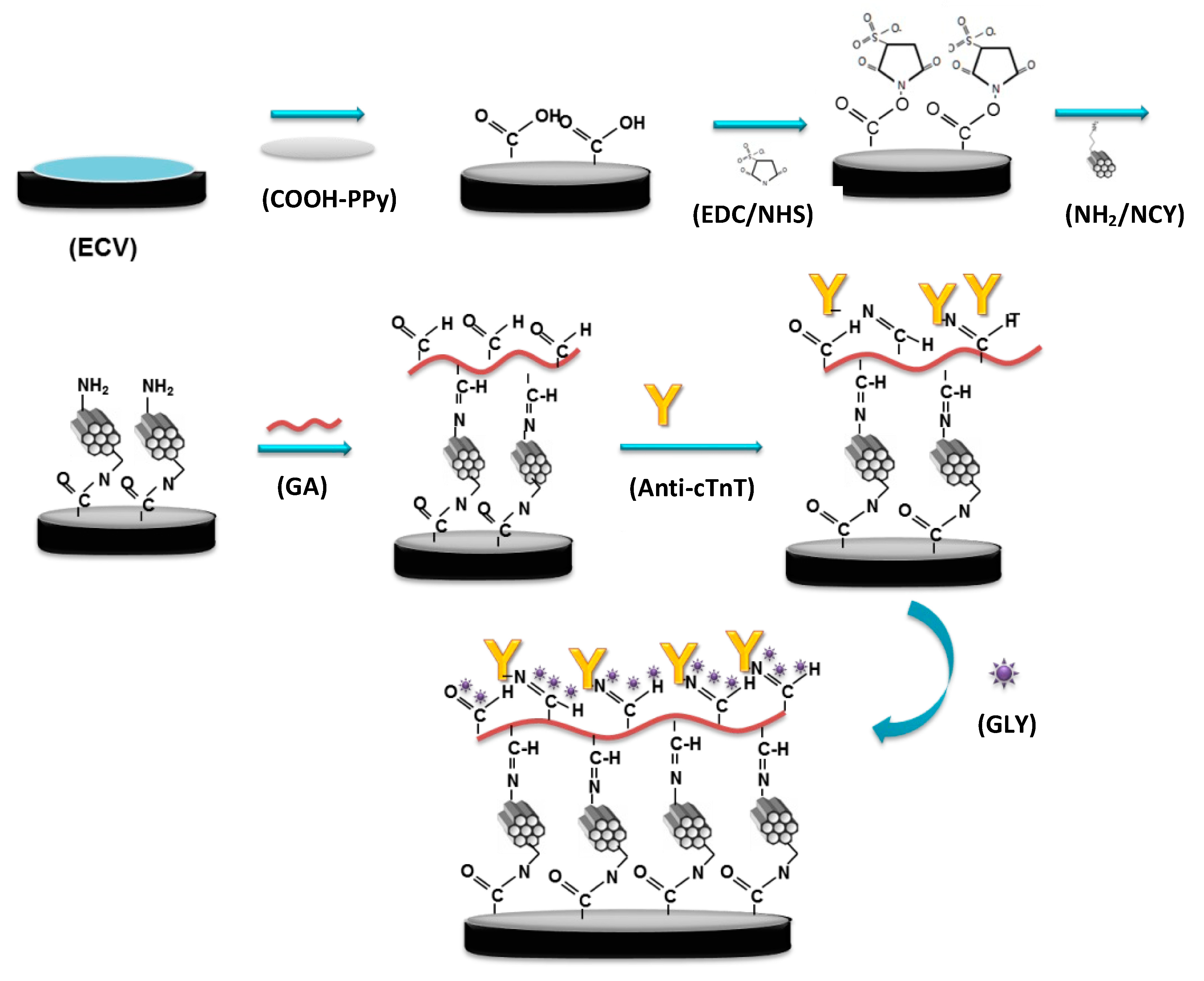 Biosensors 12 00545 g001