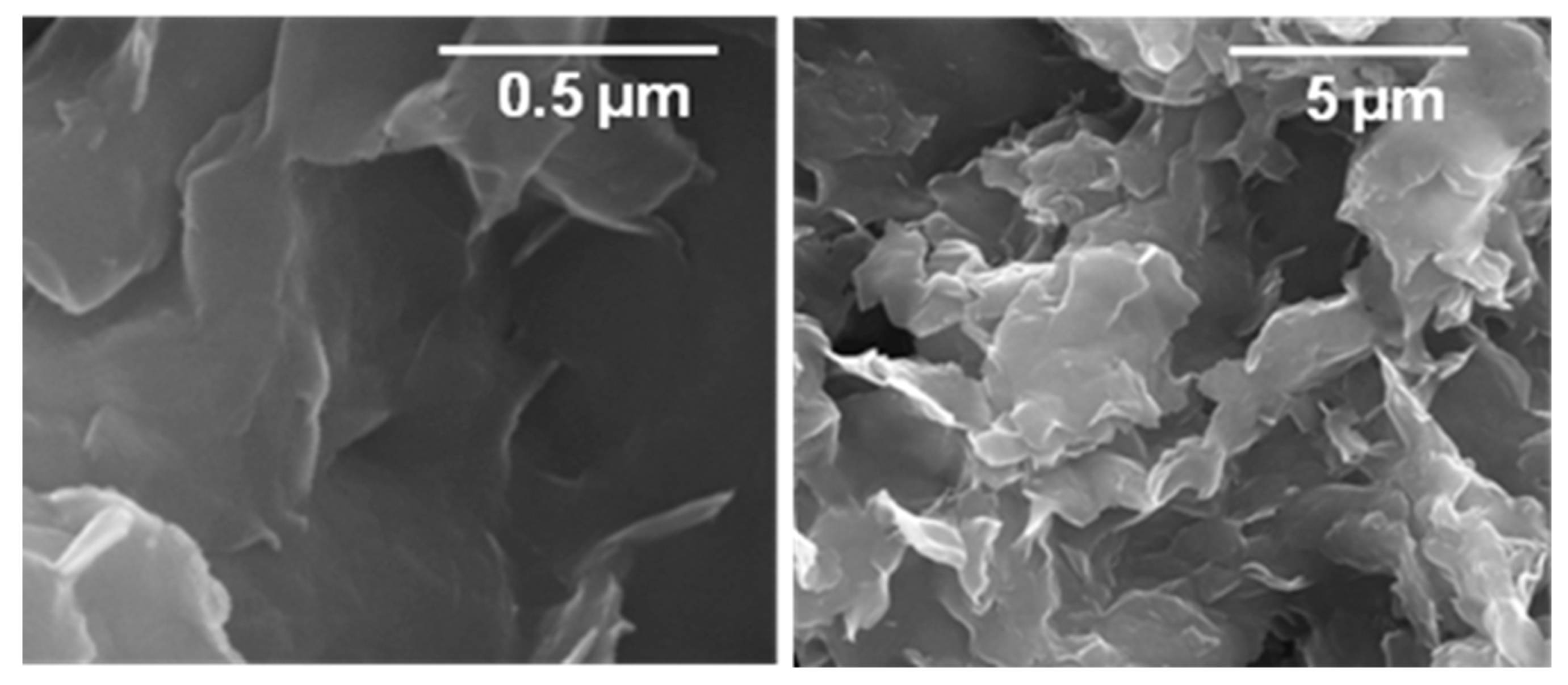 Biosensors 12 00545 g002