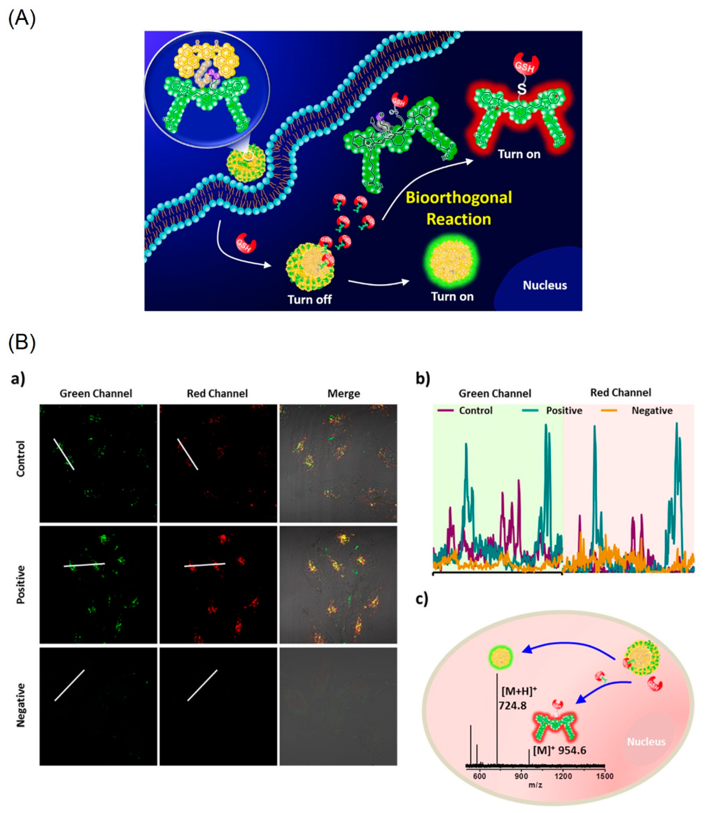 Biosensors 12 00550 g006