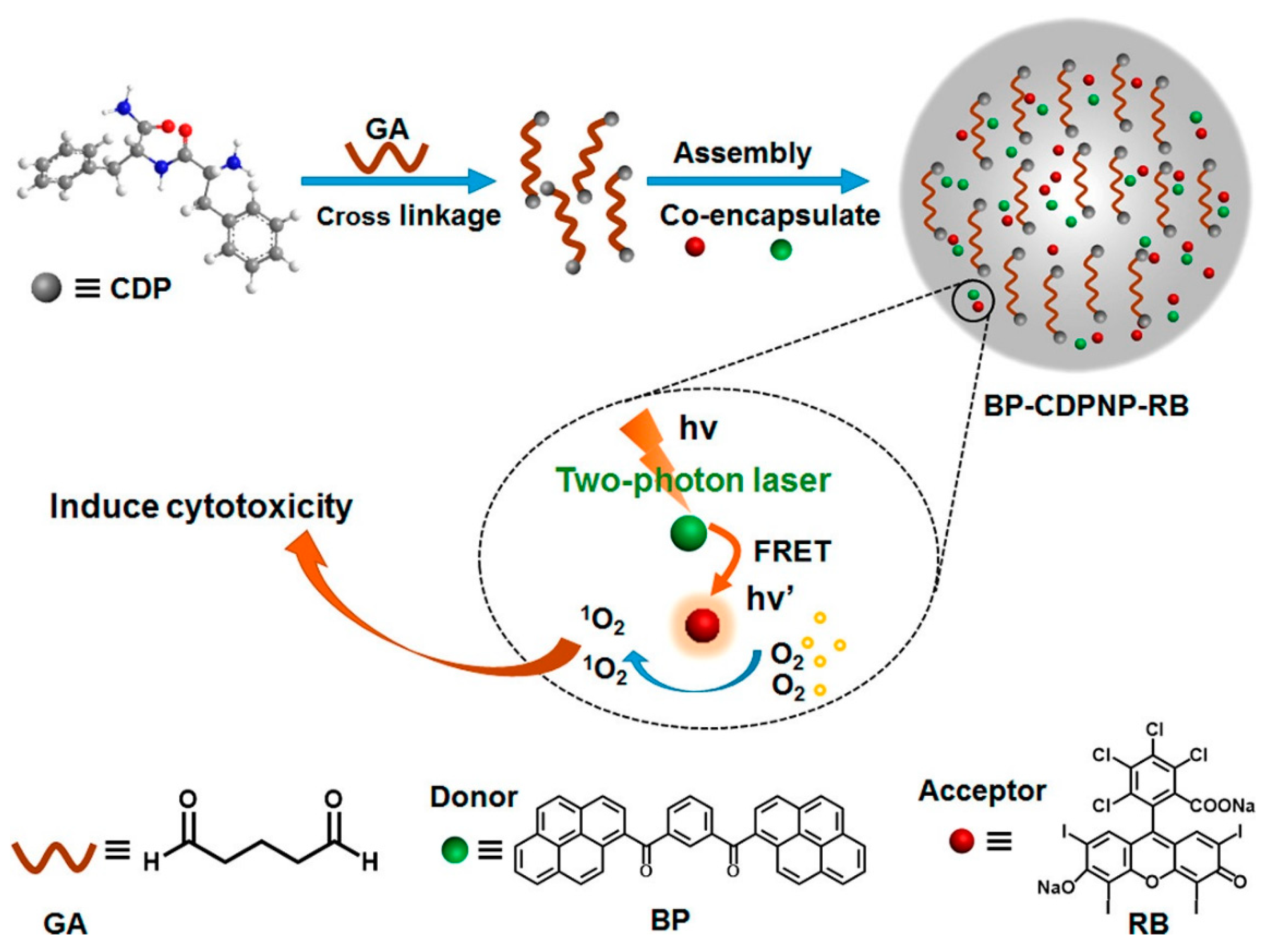 Biosensors 12 00550 g008