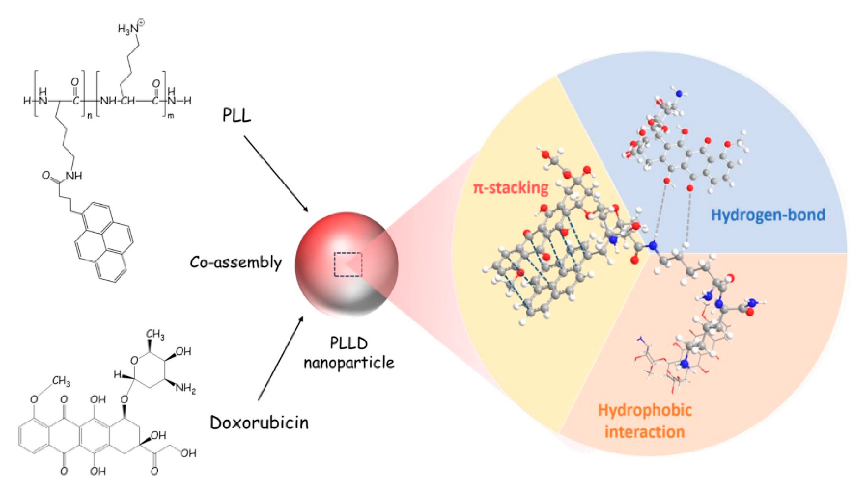 Biosensors 12 00550 g015