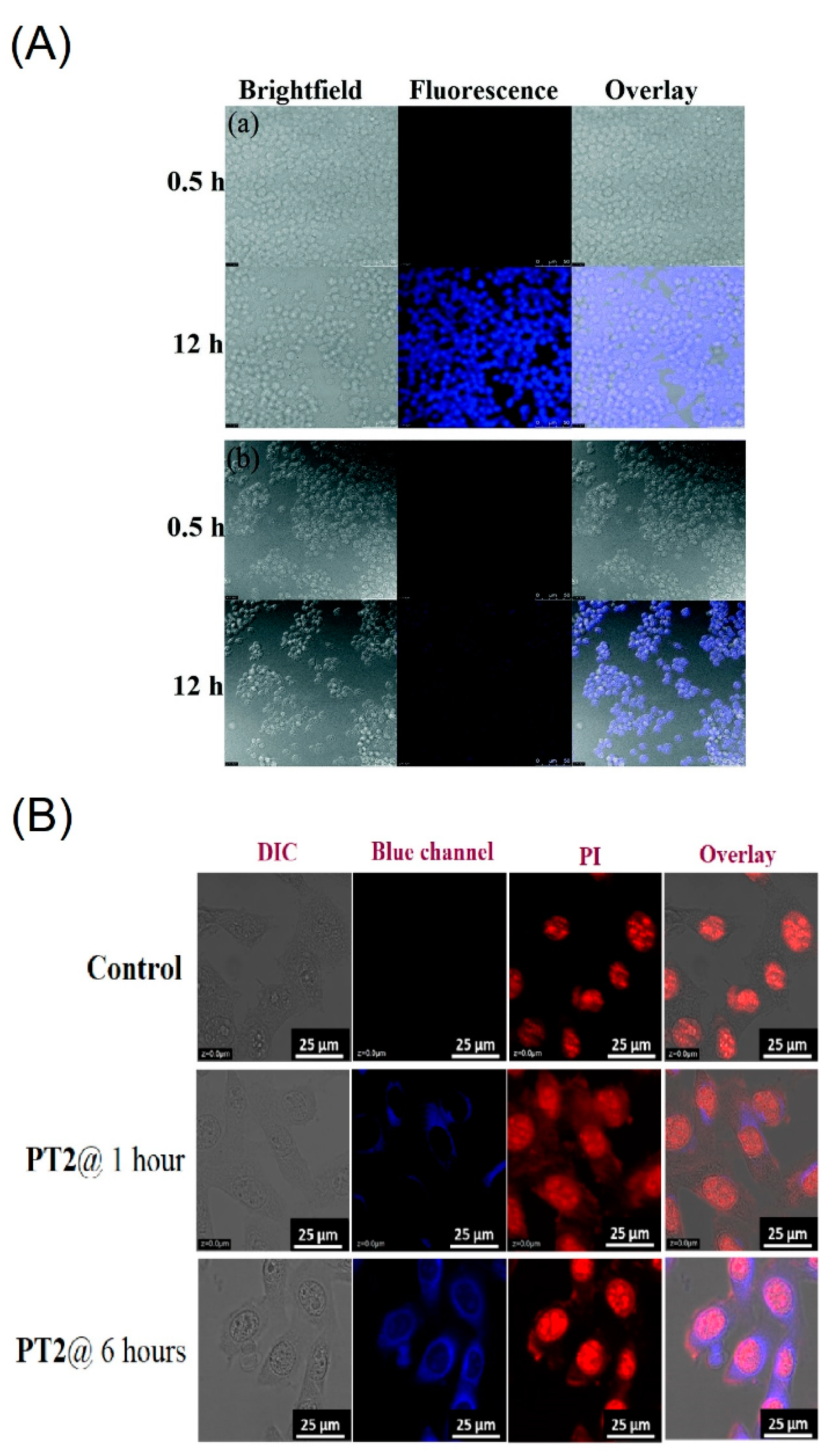 Biosensors 12 00550 g018