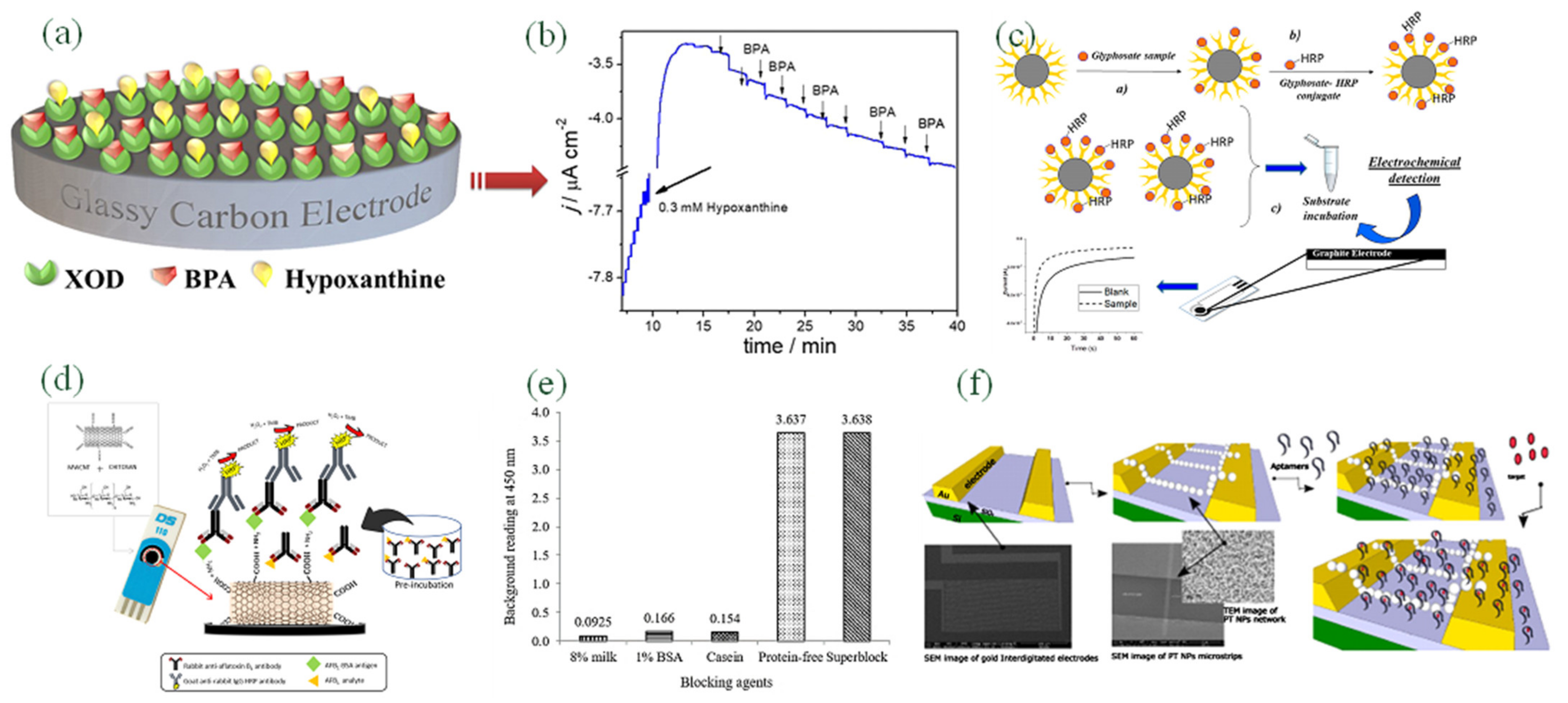 Biosensors 12 00551 g001