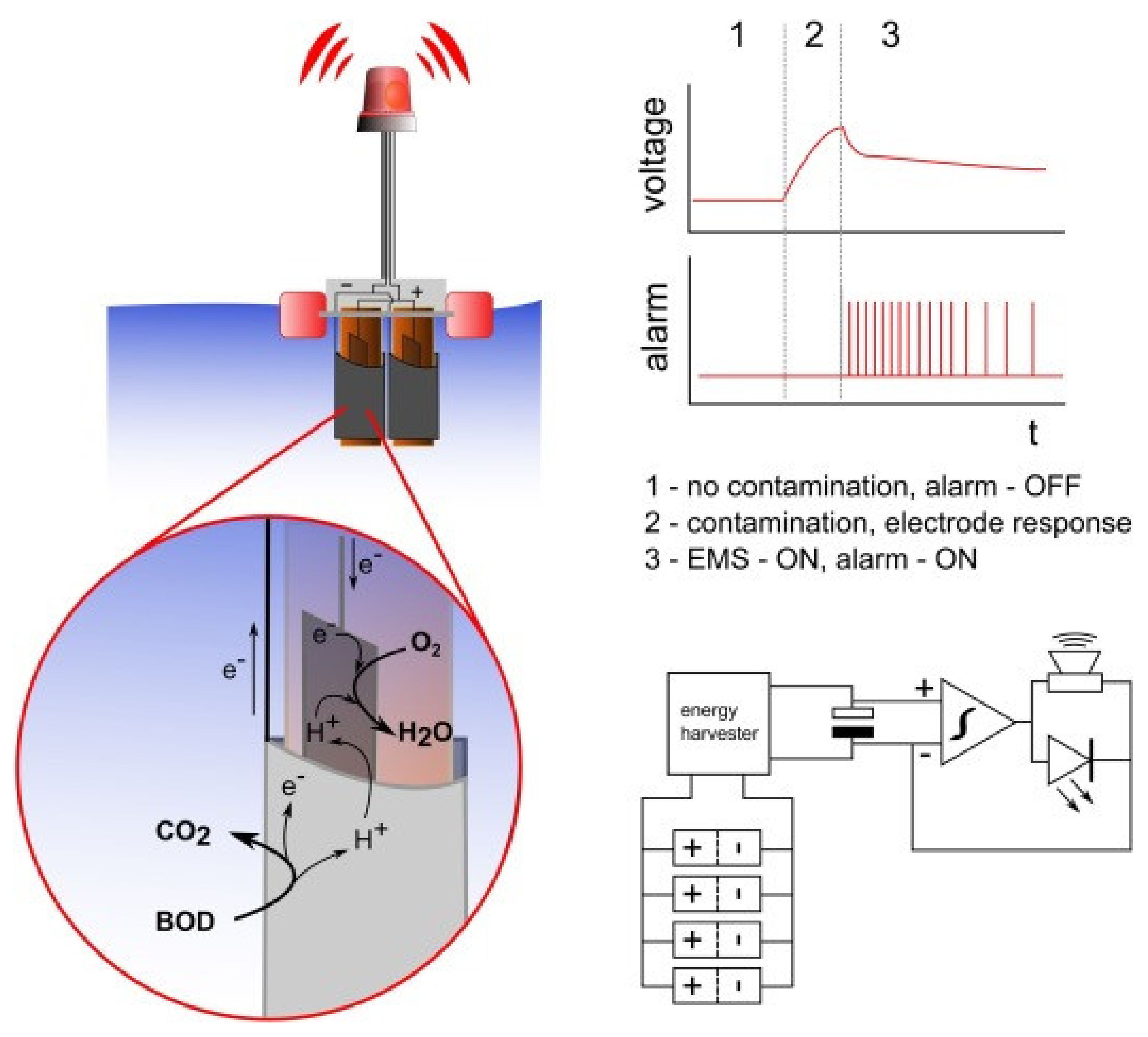 Biosensors 12 00551 g005