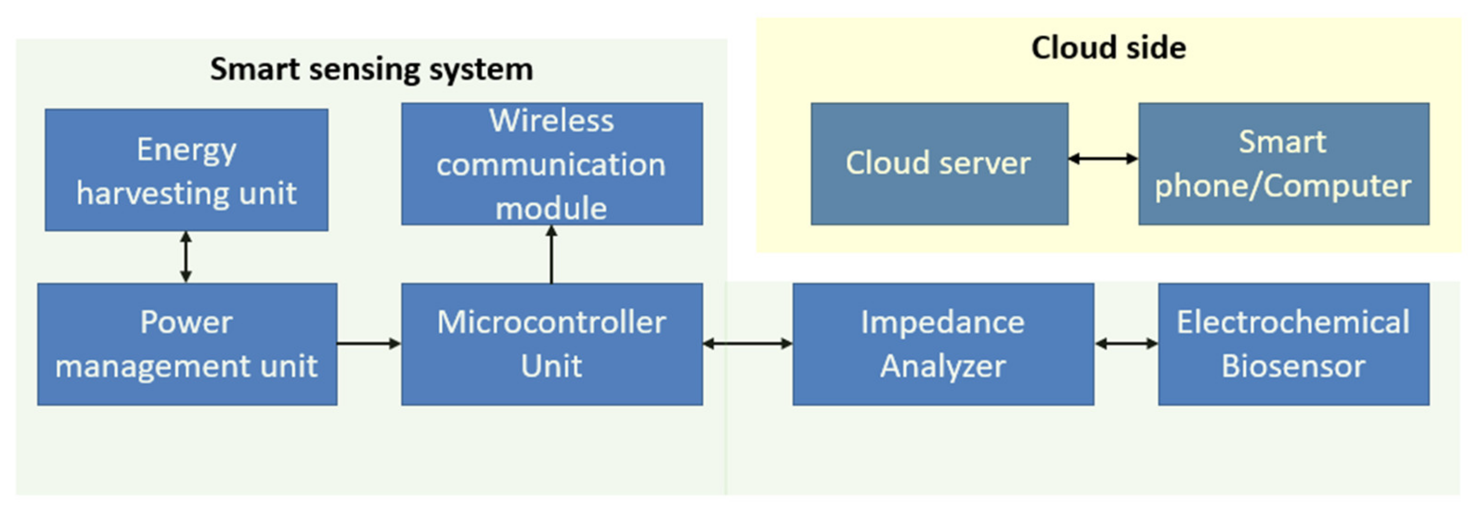 Biosensors 12 00551 g007