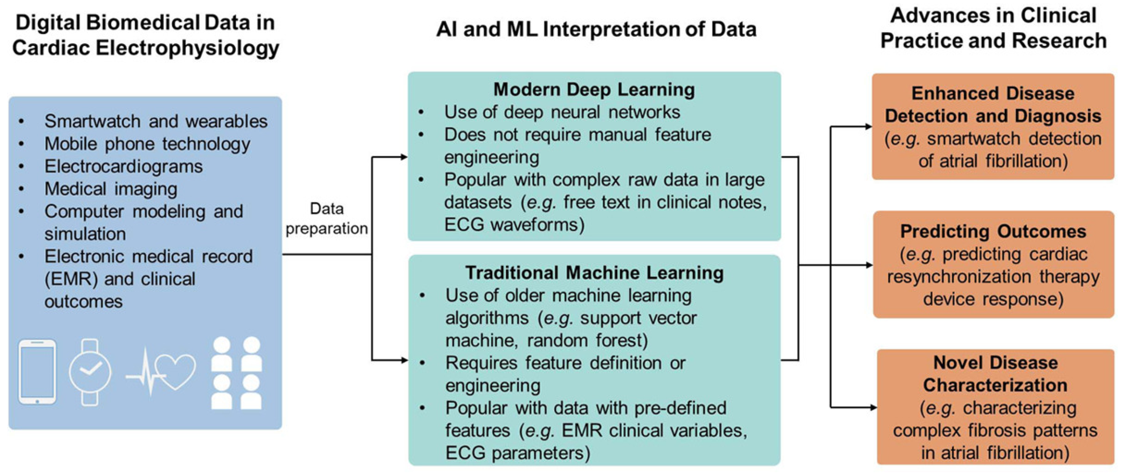 Biosensors 12 00562 g008