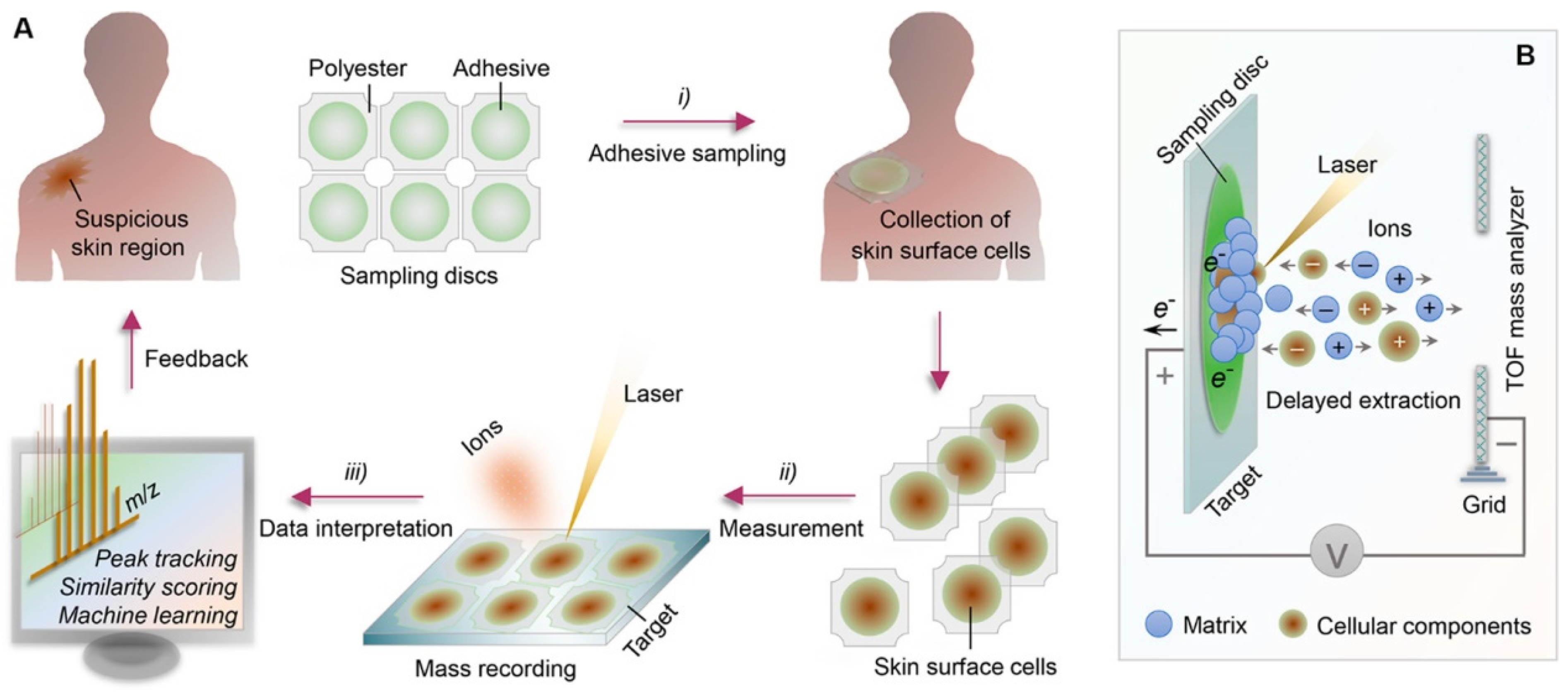 Biosensors 12 00562 g010