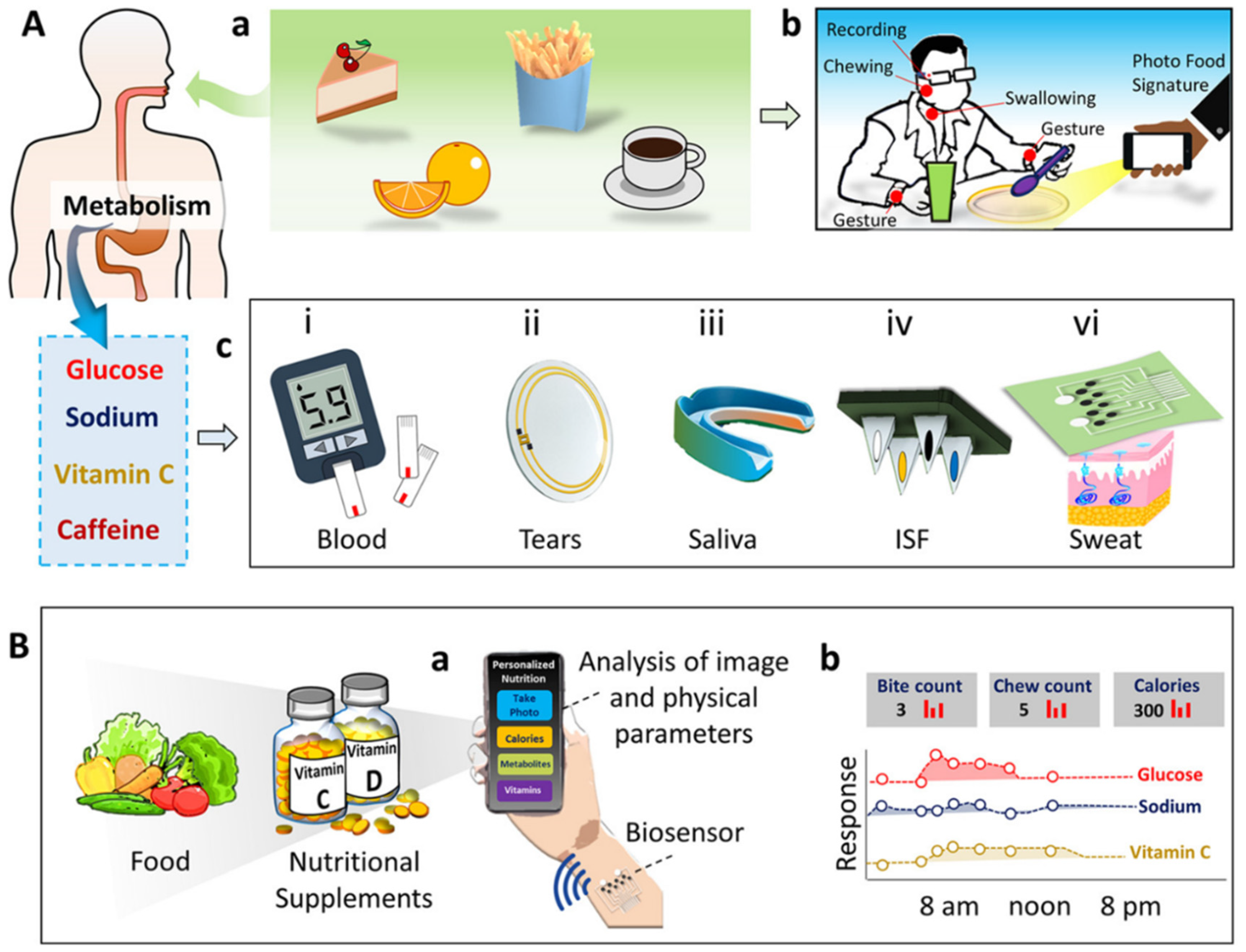 Biosensors 12 00562 g012