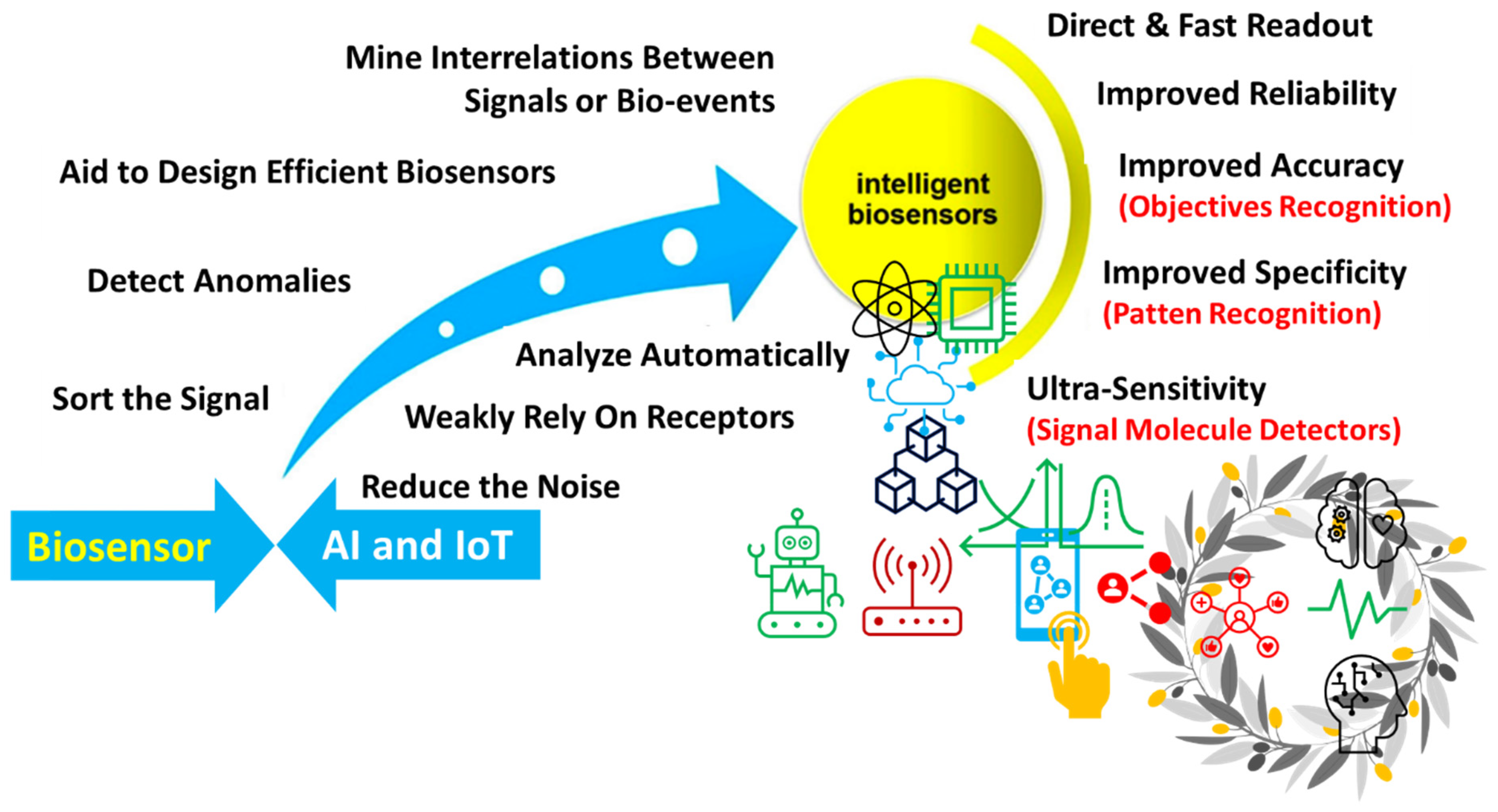 Biosensors 12 00562 g013