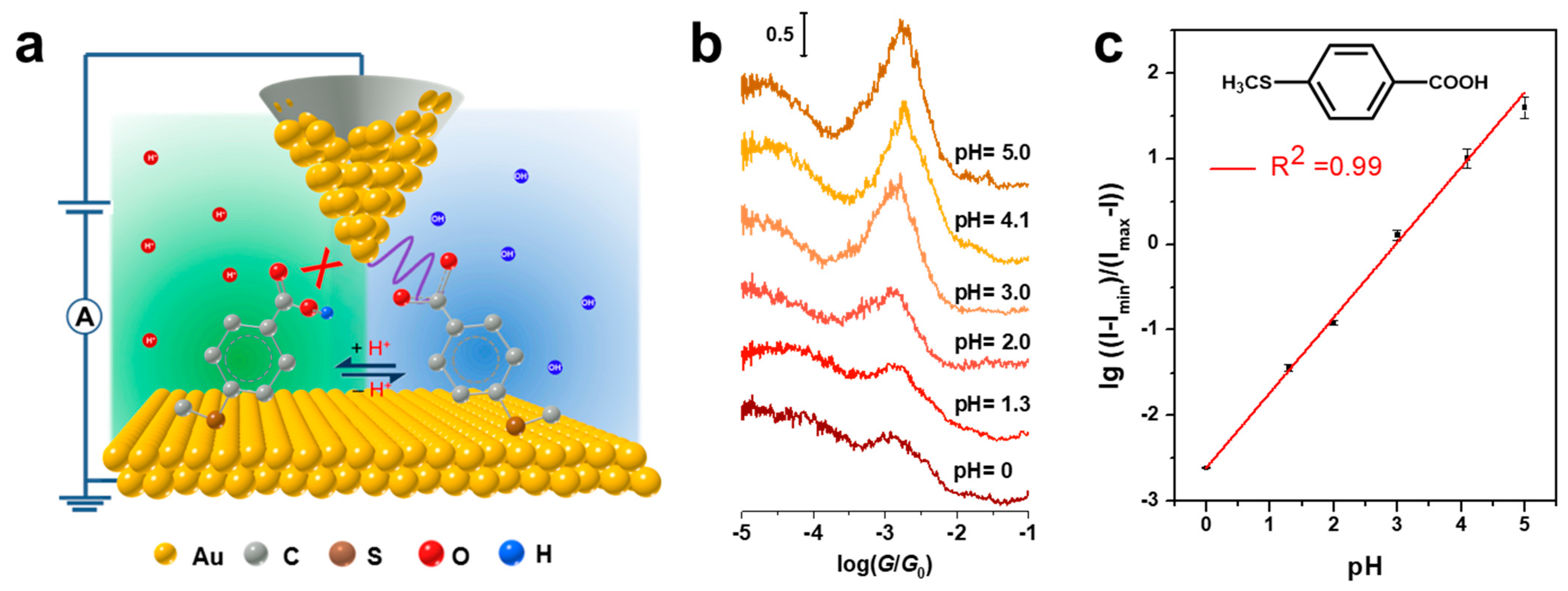 Biosensors 12 00565 g006