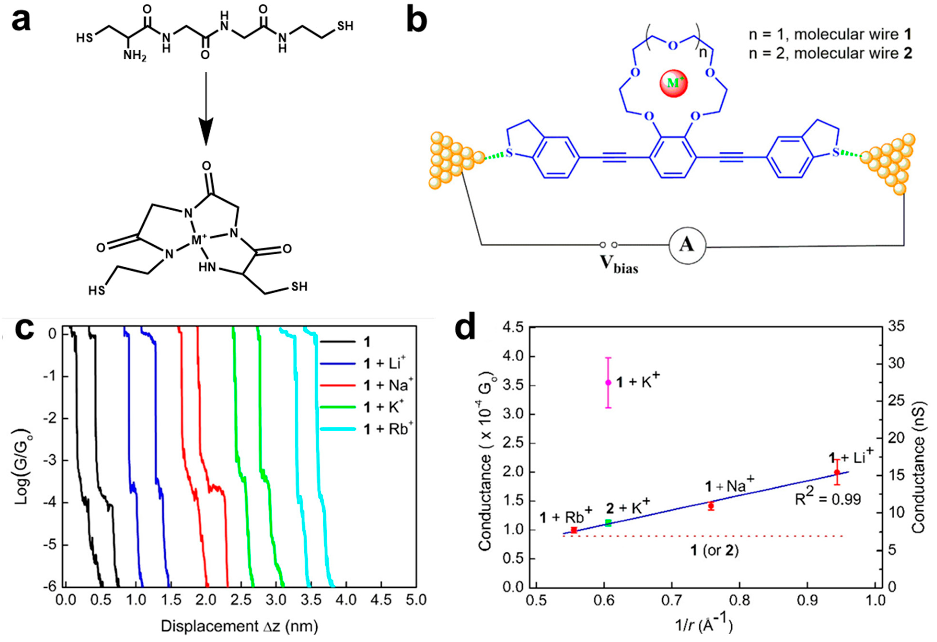 Biosensors 12 00565 g007